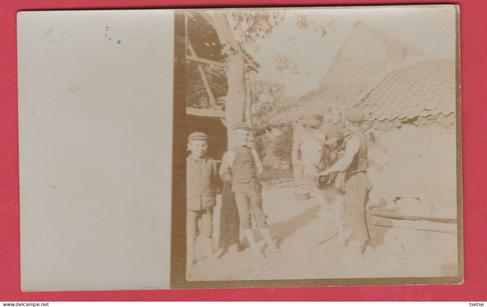 Werchter ... Familie, Kinderen - 1911 / Fotokaart ( Voir Verso ) - Rotselaar