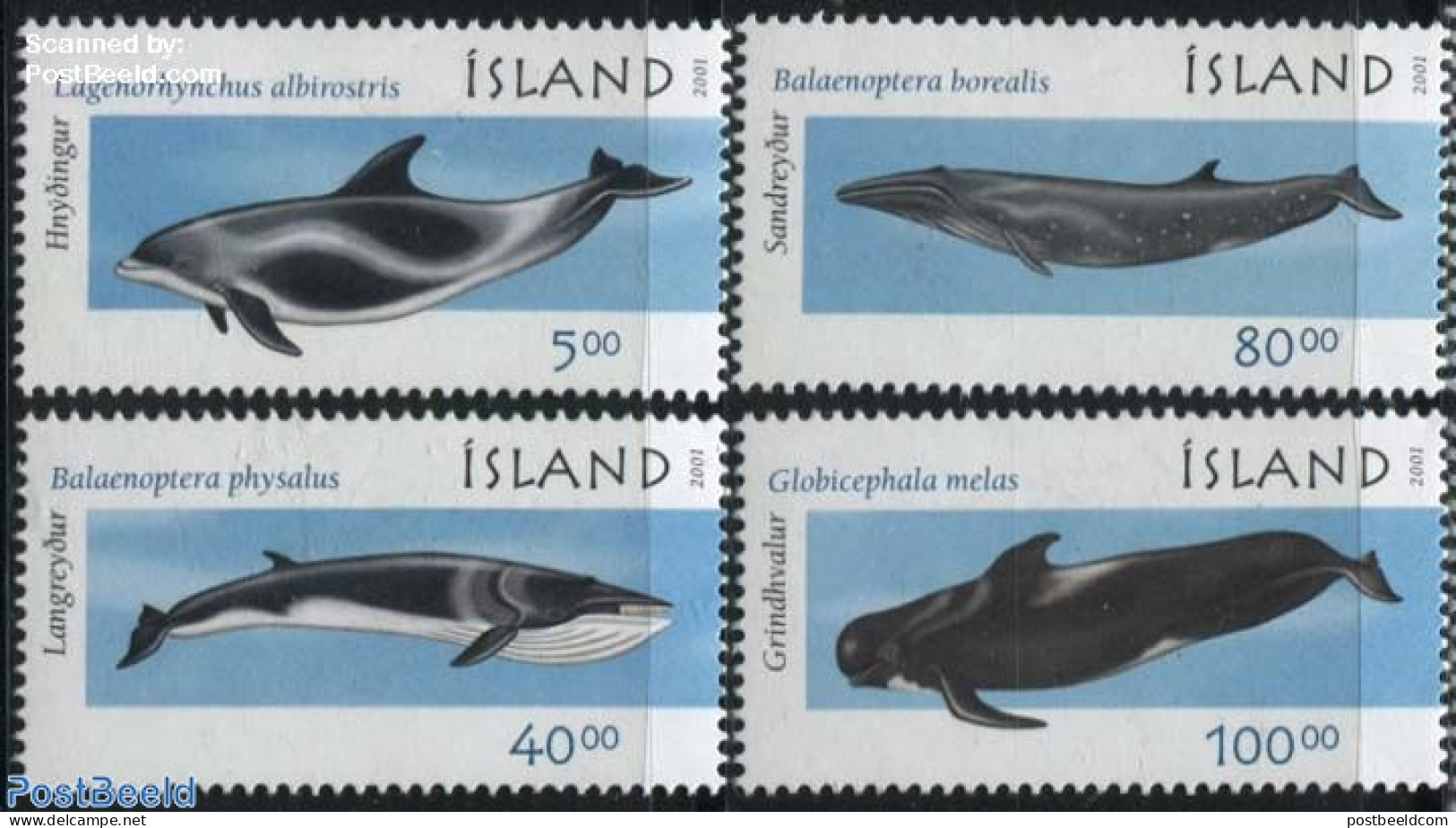 Iceland 2001 Whales 4v, Mint NH, Nature - Sea Mammals - Unused Stamps