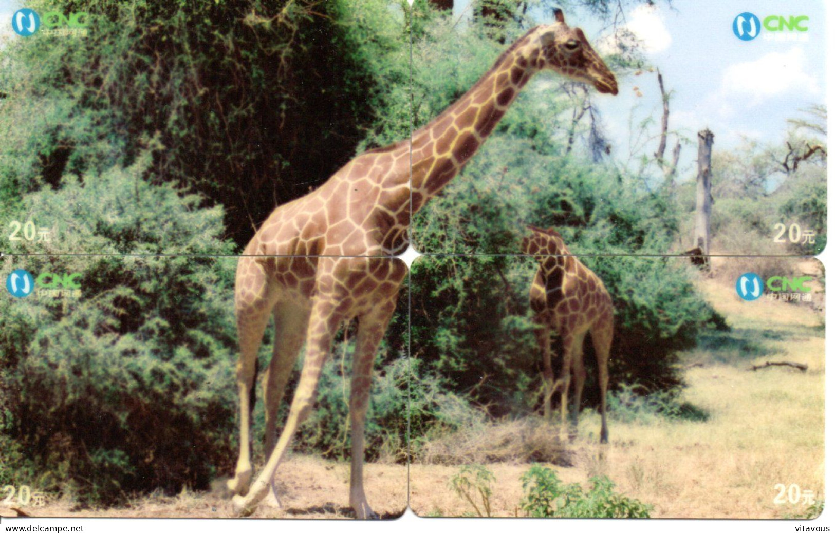 Puzzle Girafe Animal 4 Télécartes Chine Phonecard (P 82) - Chine