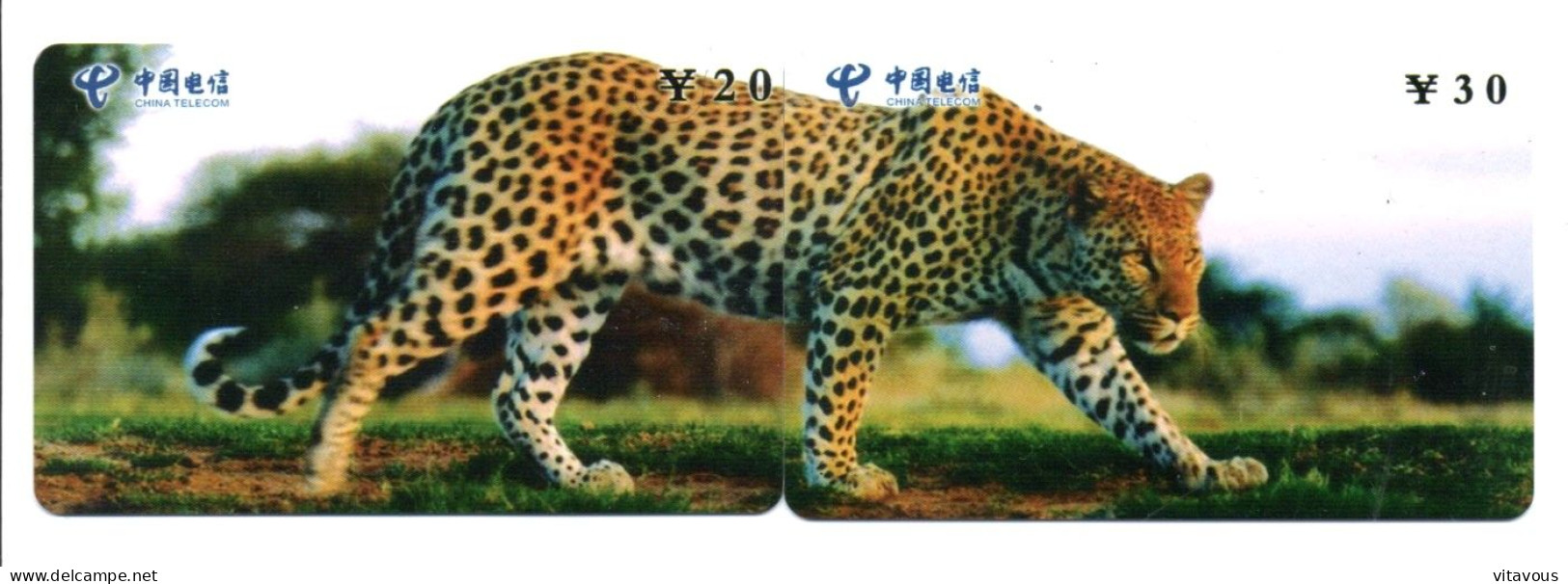 Puzzle Panthère Animal 2 Télécartes Chine Phonecard (P 83) - Chine