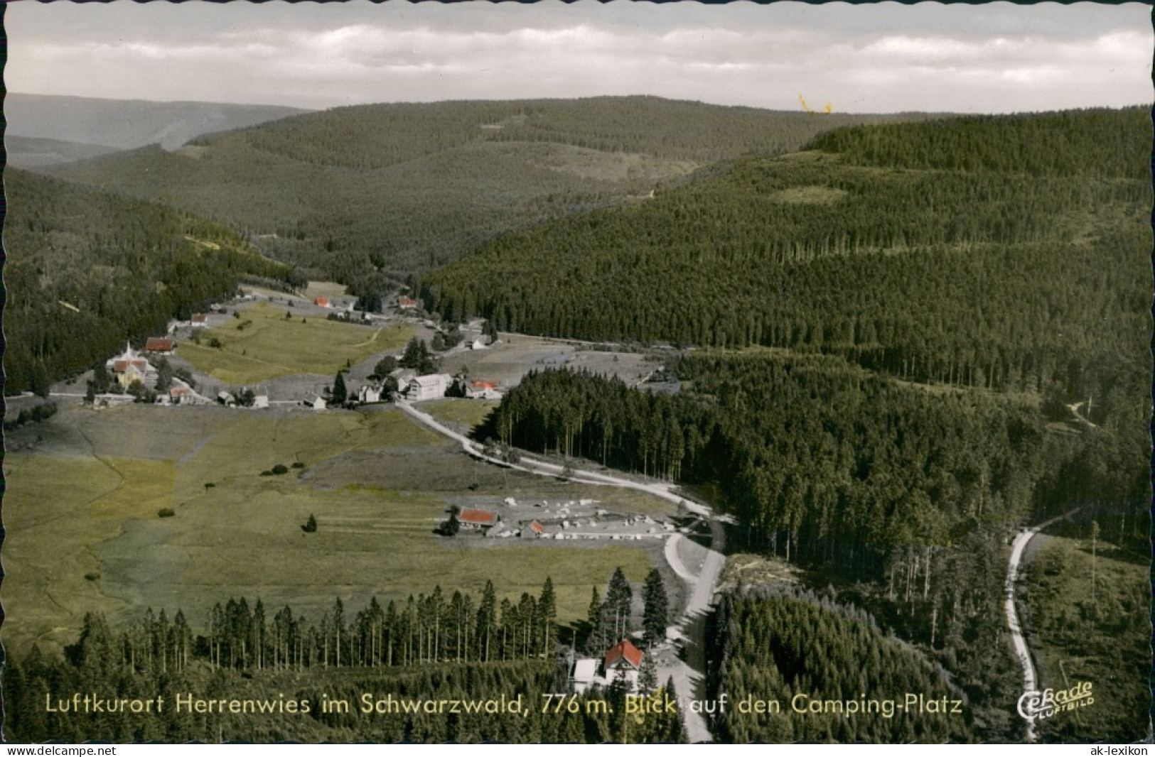 Herrenwies-Forbach (Baden) Luftbild Überflug Mit Camping-Platz, Schwarzwald 1960 - Forbach