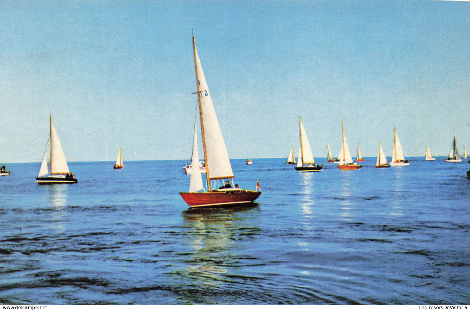 TRANSPORTS - Des Voiliers Sur La Mer - Colorisé -  Carte Postale - Voiliers