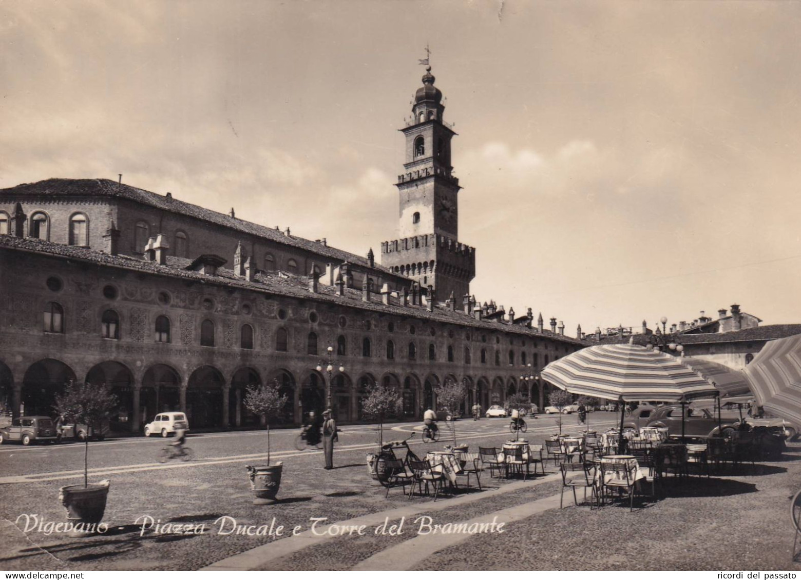 Cartolina Vigevano - Piazza Ducale E Torre Del Bramante - Vigevano