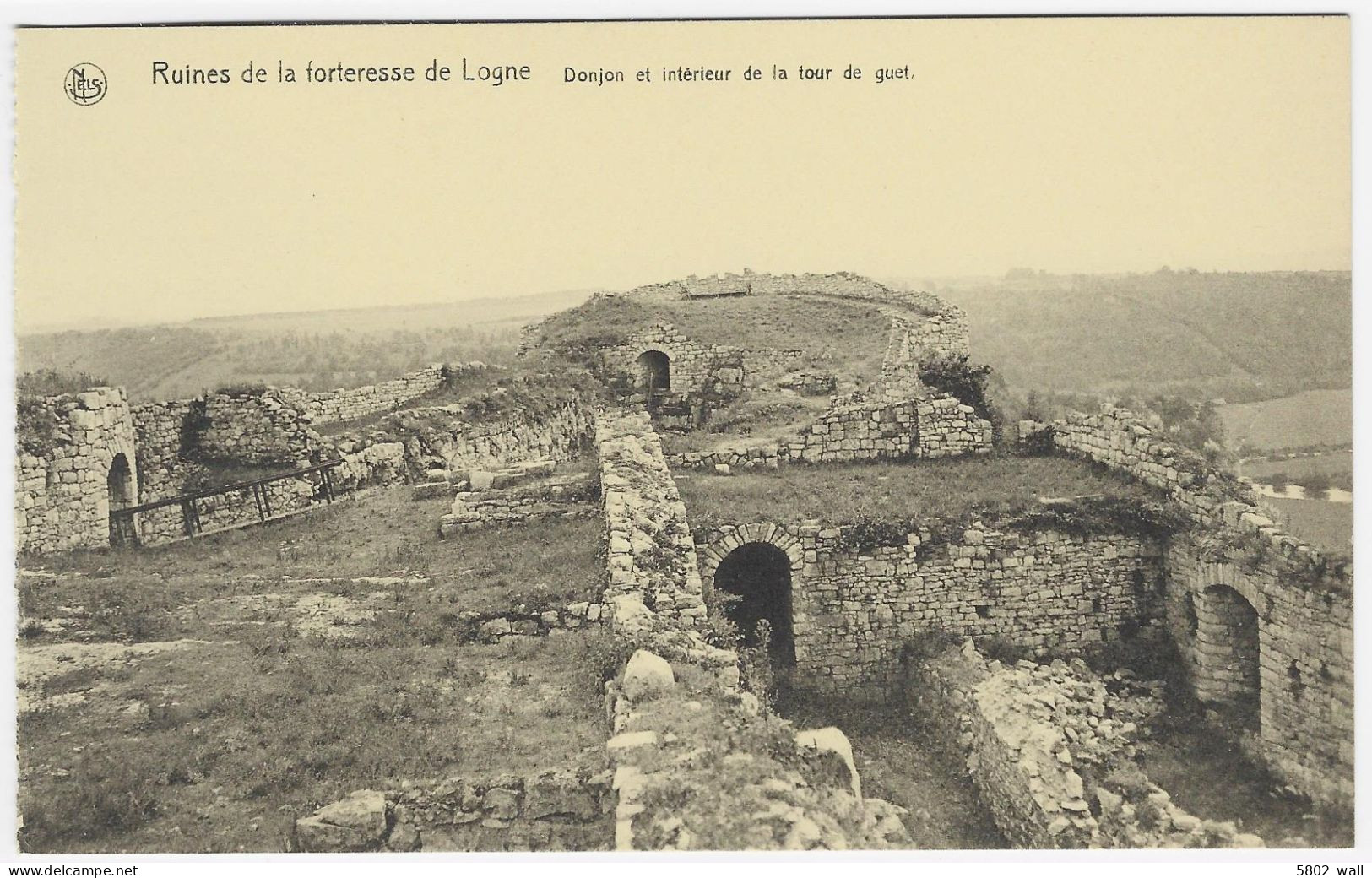 FERRIERES-LOGNE : Ruines De La Forteresse - Donjon Et Intérieur De La Tour De Guet - Ferrieres