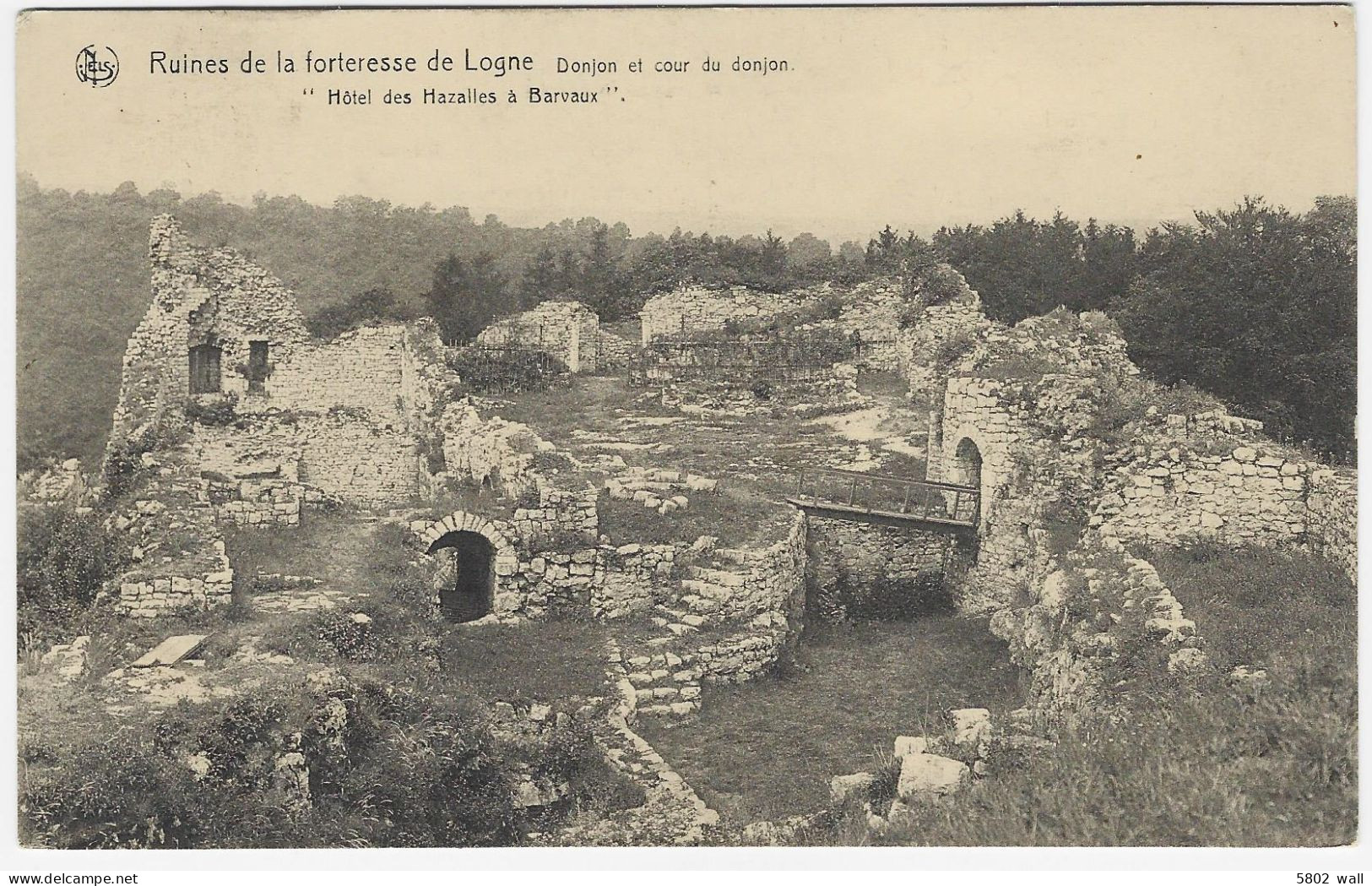FERRIERES-LOGNE : Ruines De La Forteresse - Donjon Et Cour Du Donjon - Ferrières