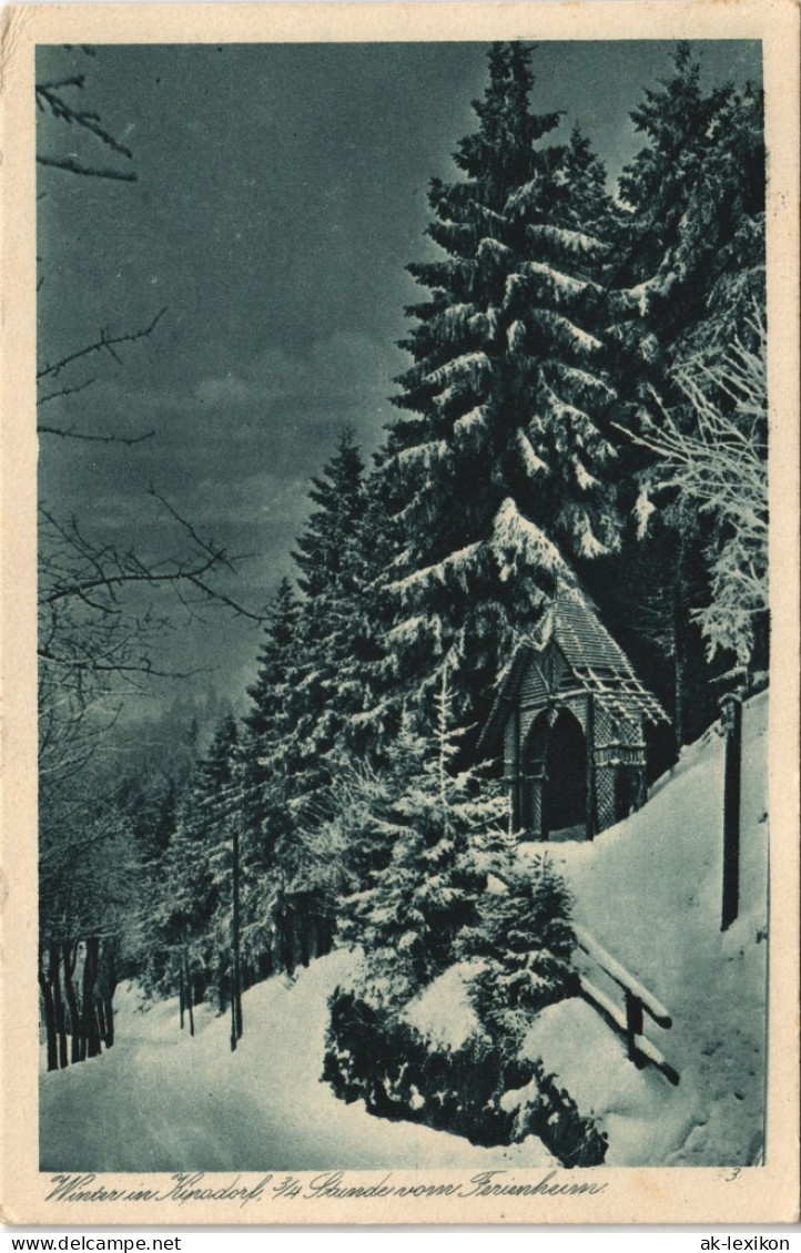 Kipsdorf-Altenberg (Erzgebirge) Winter Im Erzgebirge Pavillon 1925 - Kipsdorf