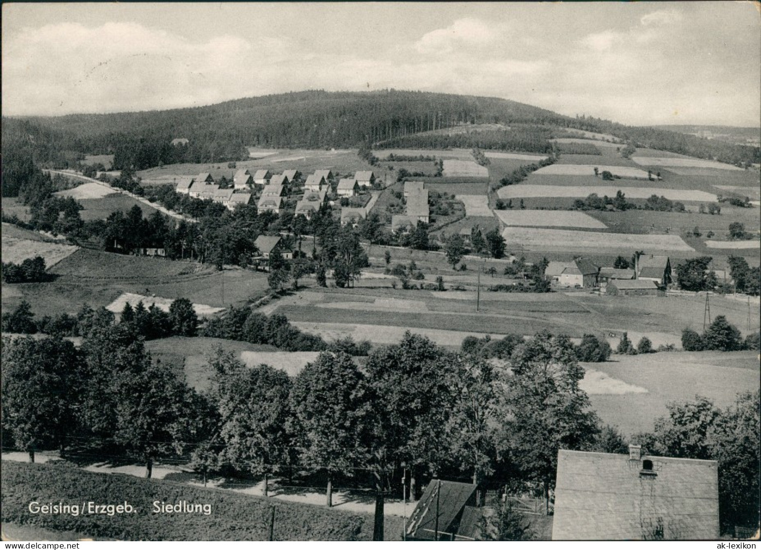 Ansichtskarte Geising-Altenberg (Erzgebirge) Siedlung 1960 - Geising