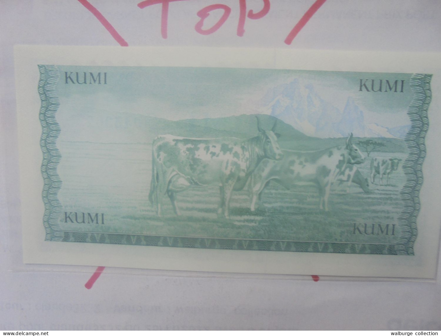 KENYA 10 SHILLINGS 1978 Neuf (B.33) - Kenia