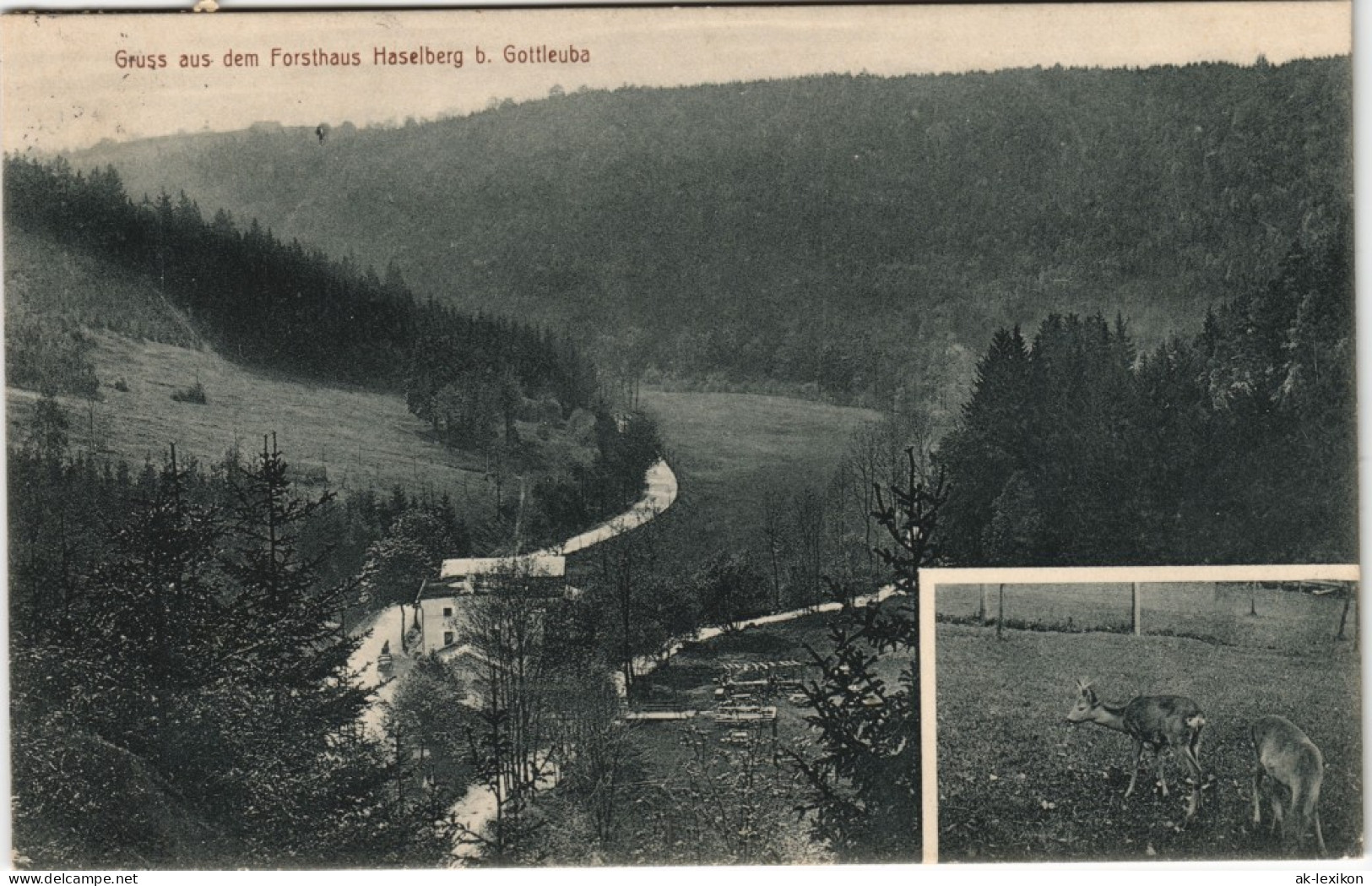 Bad Gottleuba-Berggießhübel 2 Bild Forsthaus Hase4lberg 2 Bild 1913 - Bad Gottleuba-Berggiesshuebel