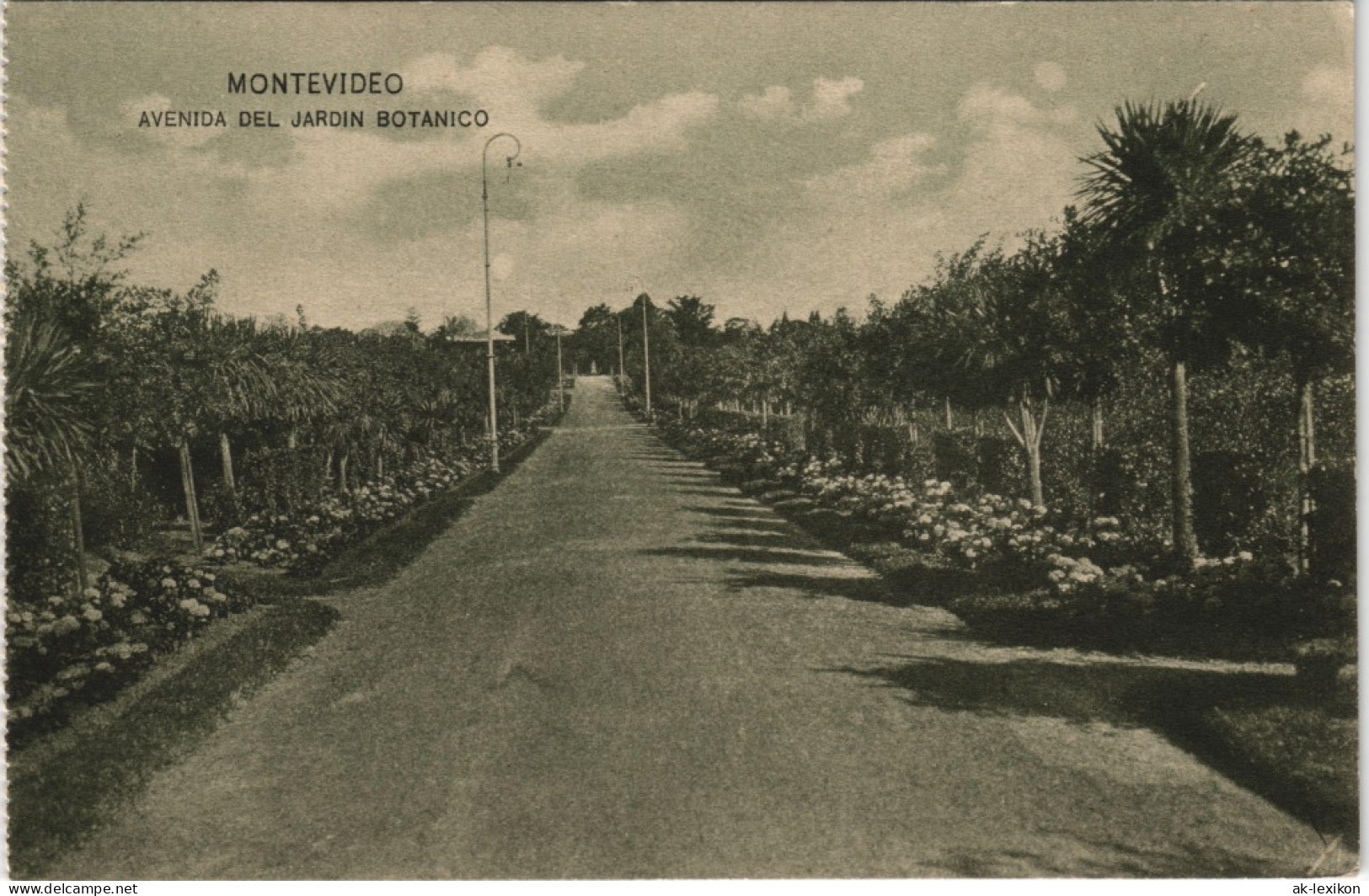 Postcard Montevideo AVENIDA DEL JARDIN BOTANICO 1922 - Uruguay