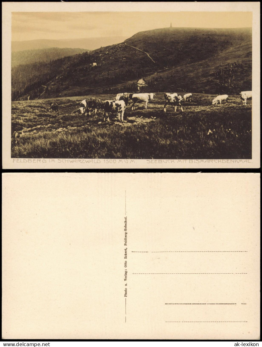 Ansichtskarte Feldberg (Schwarzwald) Kuhherde - Feldberg 1923 - Feldberg