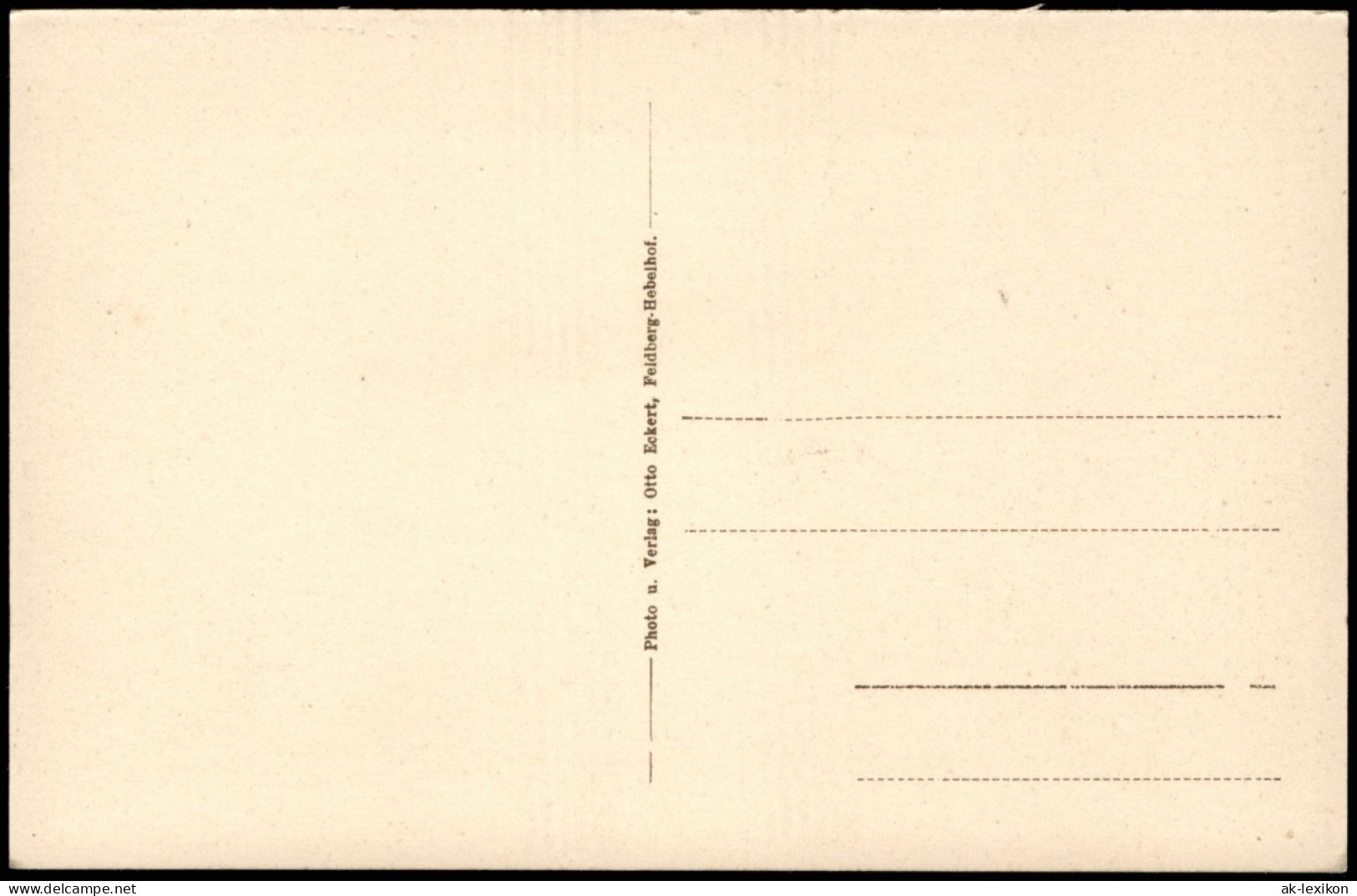 Ansichtskarte Feldberg (Schwarzwald) Kuhherde - Feldberg 1923 - Feldberg