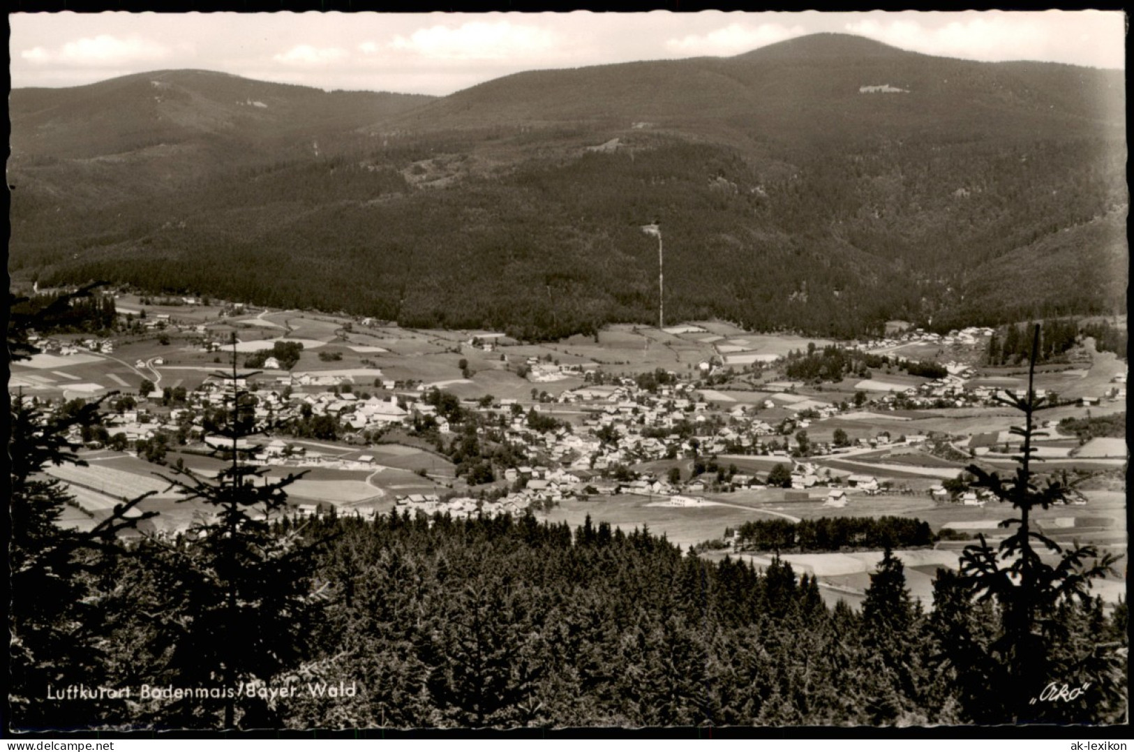 Bodenmais Panorama-Ansicht Gesamtansicht Ort Im Bayer. Wald 1960 - Bodenmais