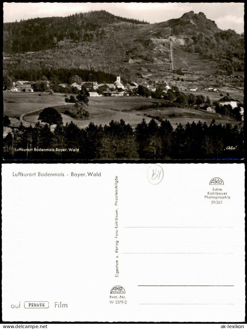Ansichtskarte Bodenmais Panorama-Ansicht Ort Im Bayer. Wald 1960 - Bodenmais