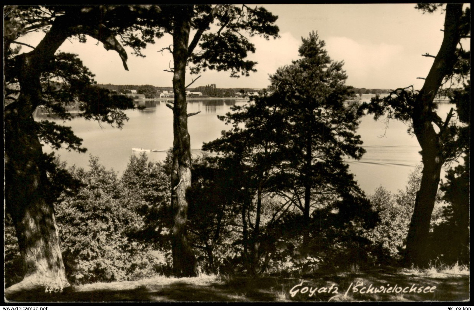 Ansichtskarte Goyatz-Schwielochsee Partie Am Schwielochsee 1963 - Goyatz