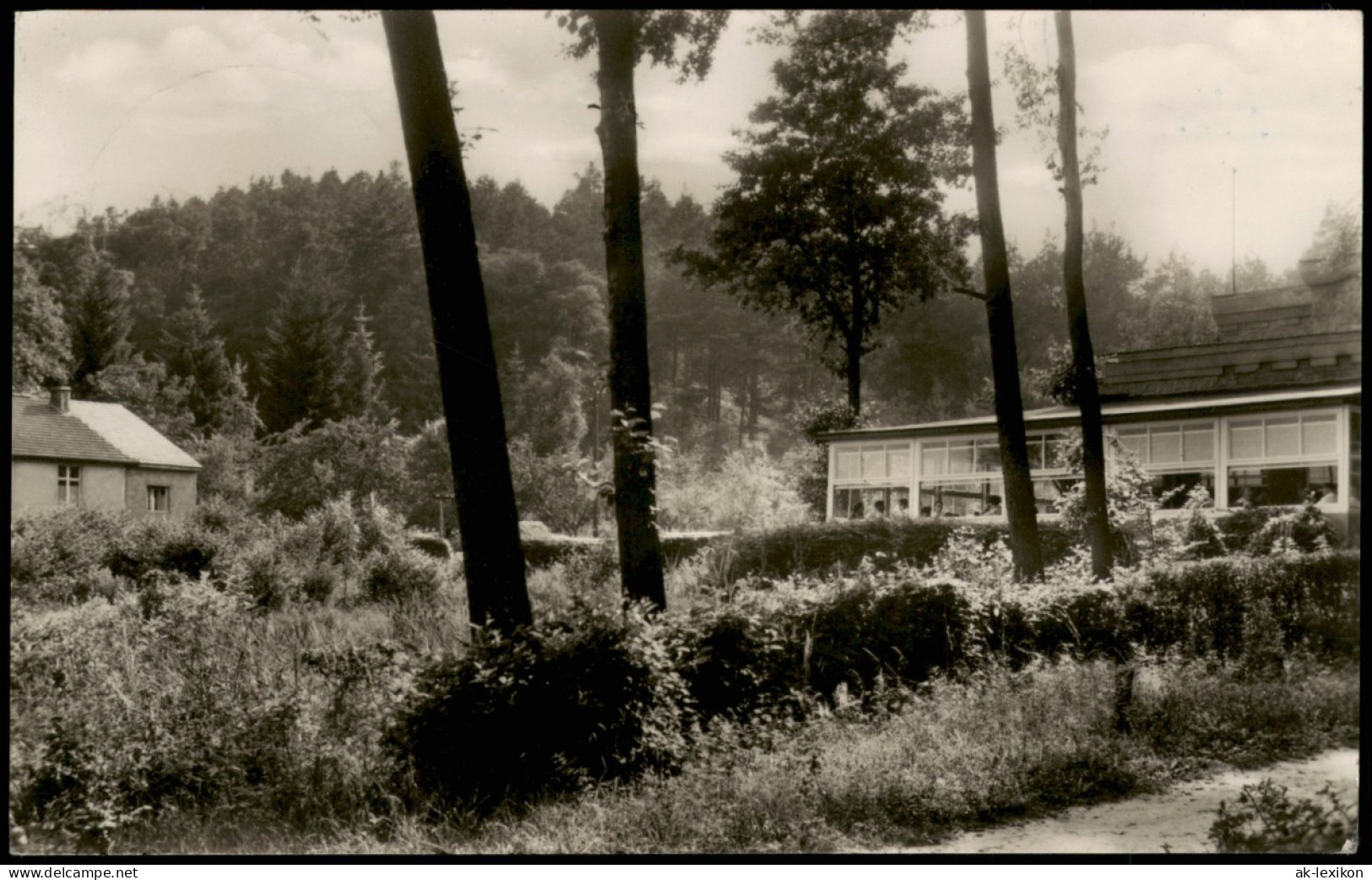 Buckow (Märkische Schweiz) Pensionshaus Buchenfried Inh. G. Spengler 1960 - Buckow