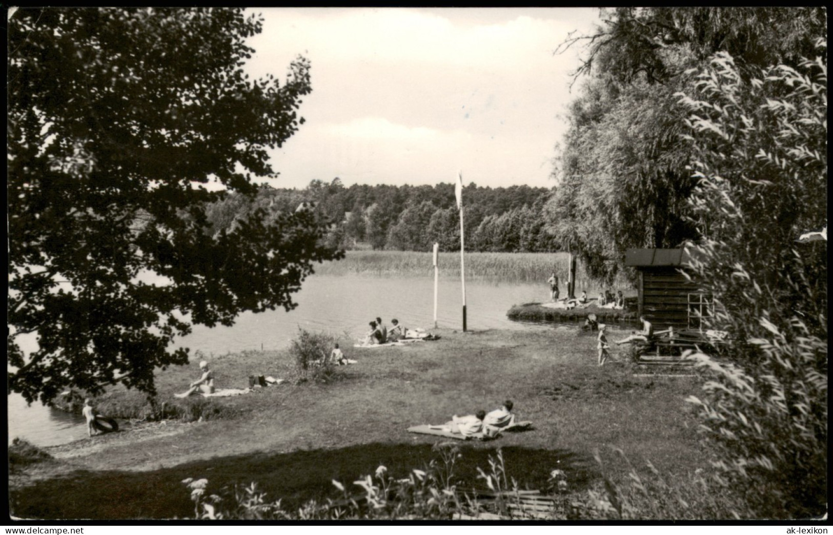 Ansichtskarte Zechlinerhütte/Mark-Rheinsberg Partie Am Schlabornsee 1965 - Zechlinerhütte