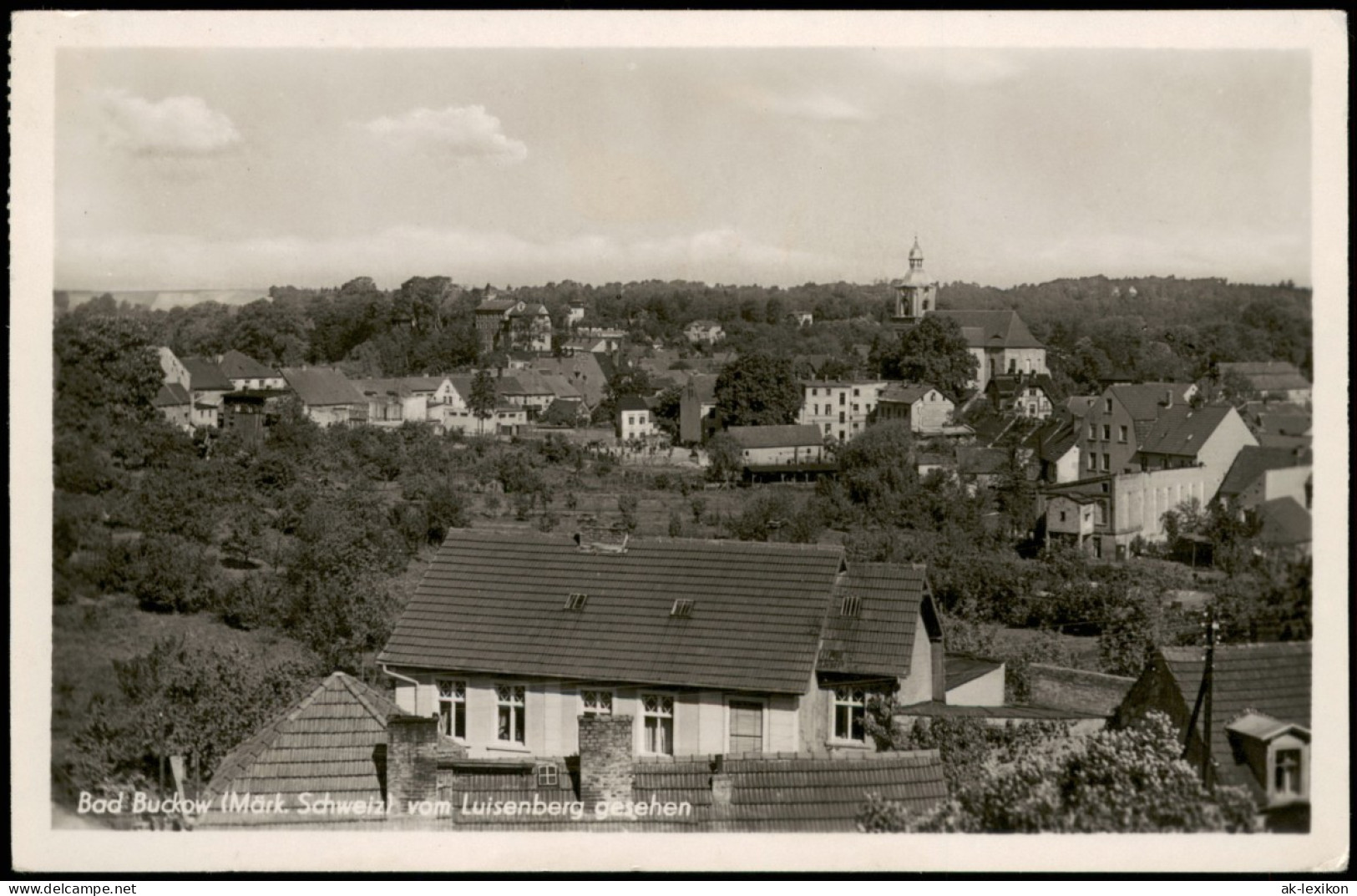 Buckow (Märkische Schweiz) Panorama-Ansicht Vom Luisenberg Gesehen 1955 - Buckow