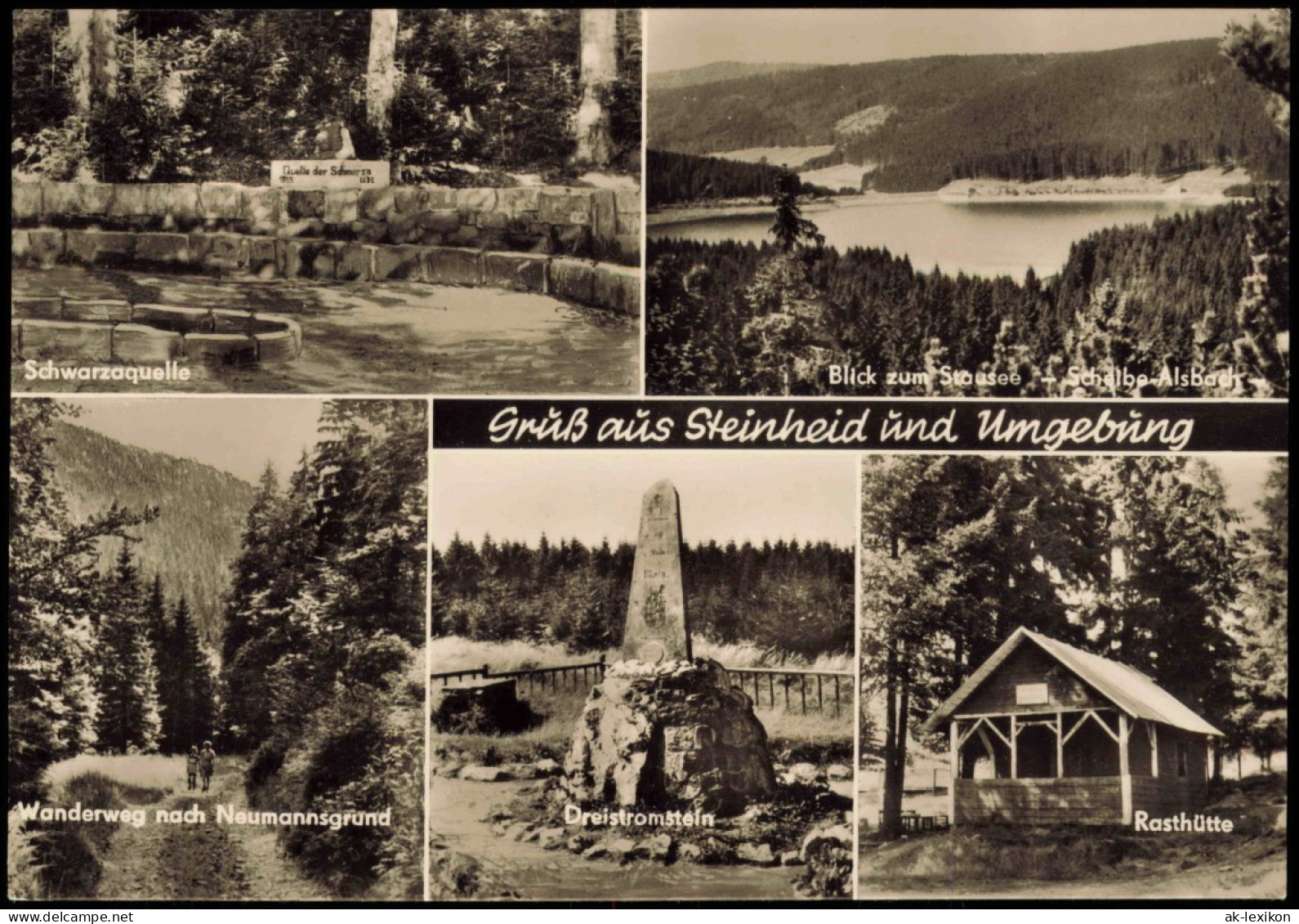 Steinheid-Neuhaus Am Rennweg   Schwarzaquelle Dreistromstein Rasthütte 1971 - Neuhaus