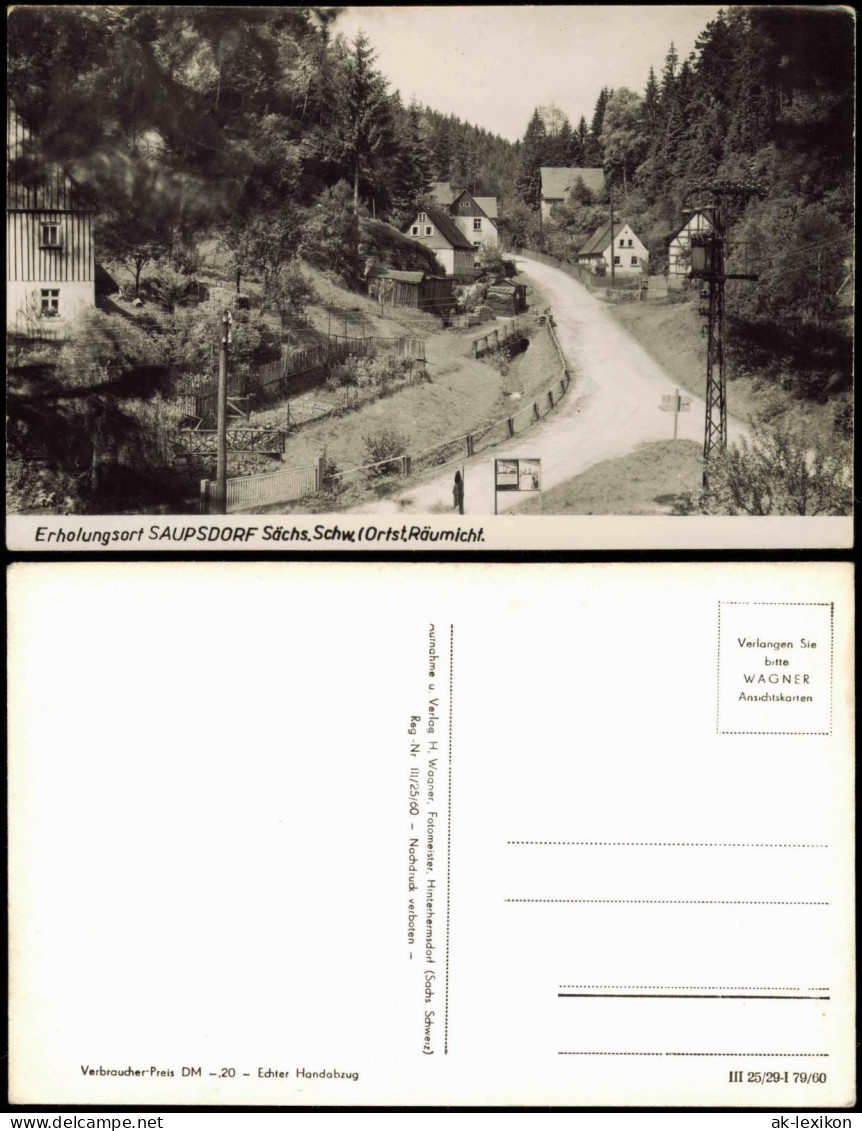 Ansichtskarte Saupsdorf-Sebnitz Ortspartie Zur DDR-Zeit 1960 - Kirnitzschtal