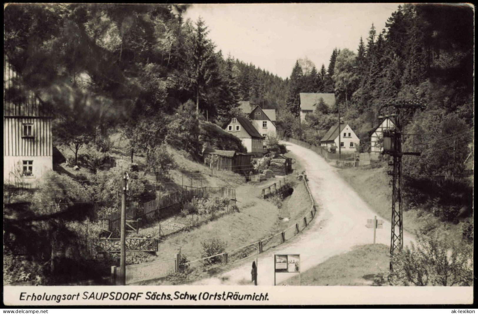 Ansichtskarte Saupsdorf-Sebnitz Ortspartie Zur DDR-Zeit 1960 - Kirnitzschtal