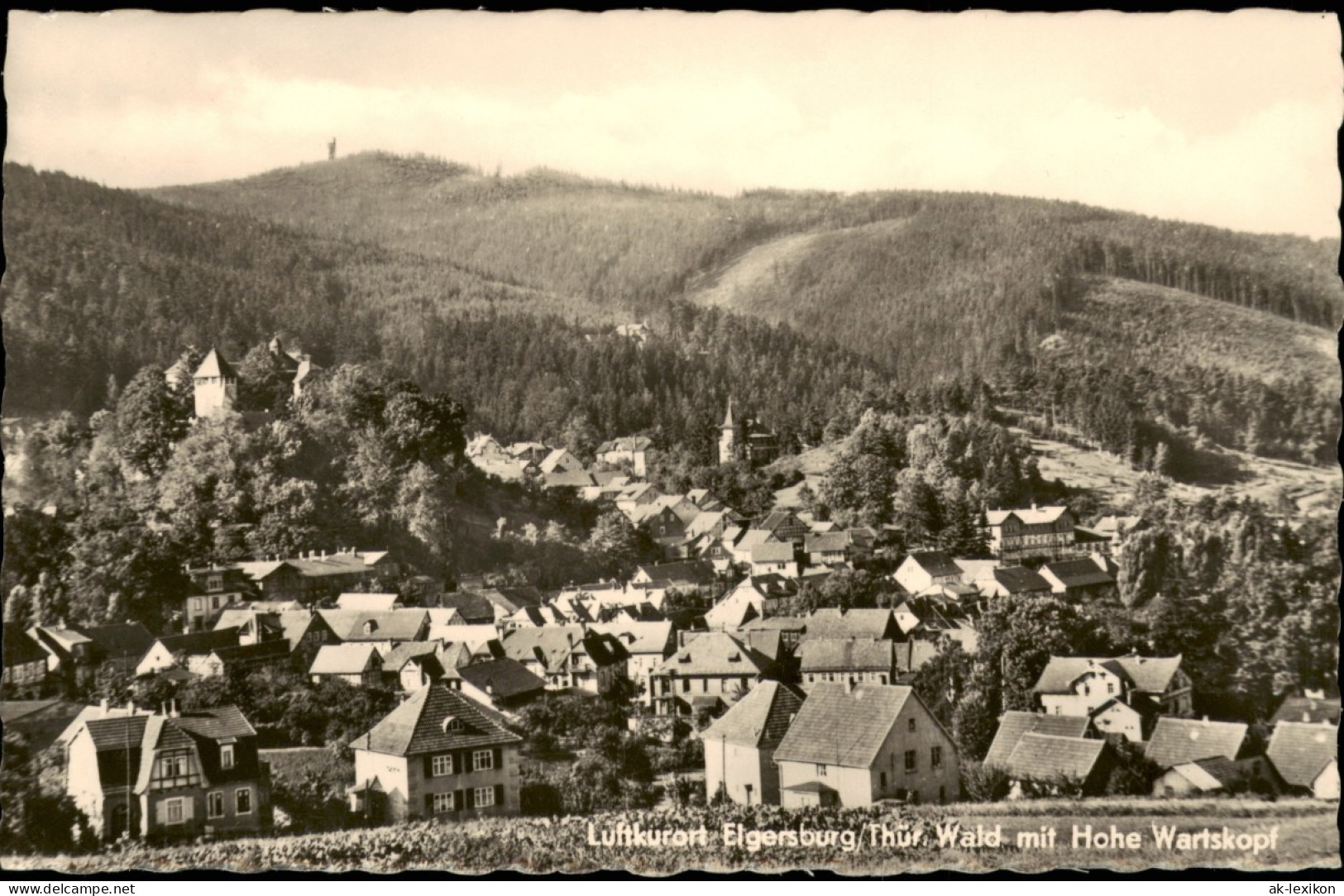 Ansichtskarte Elgersburg Partie An Der Stadt 1960 - Elgersburg