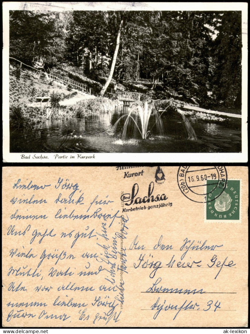 Ansichtskarte Bad Sachsa Partie Im Kurpark 1960 - Bad Sachsa