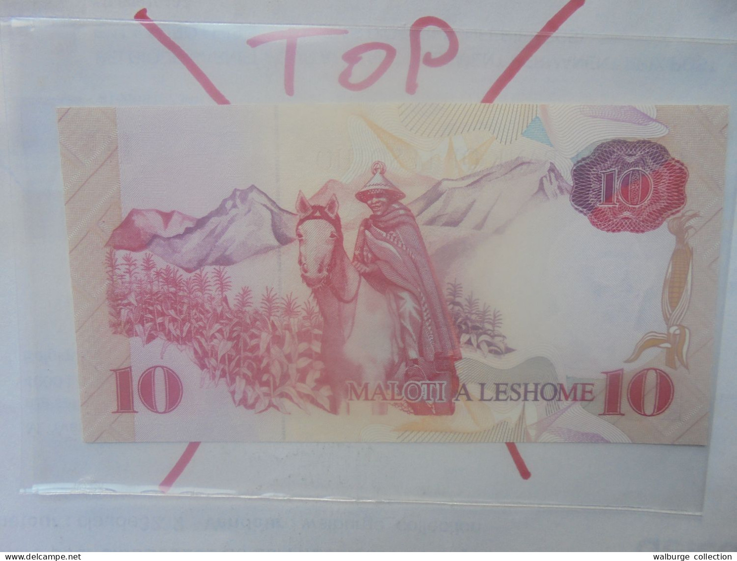 LESOTHO 10 MALOTI 1990 Neuf (B.33) - Lesoto