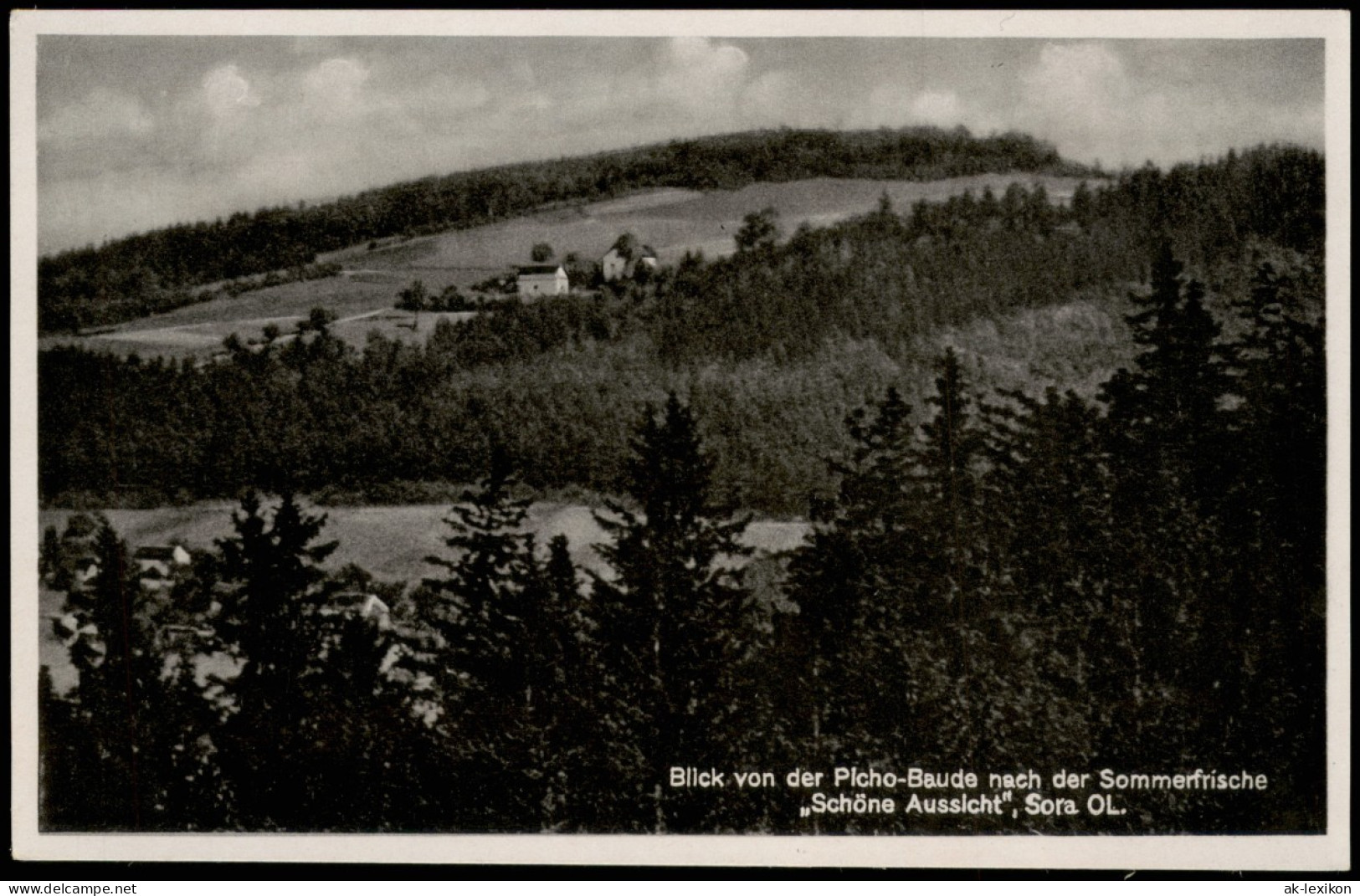 Neukirch (Lausitz) Oberneukirch | Wjazońca Blick Auf Die Picho- Baude 1932 - Neukirch (Lausitz)