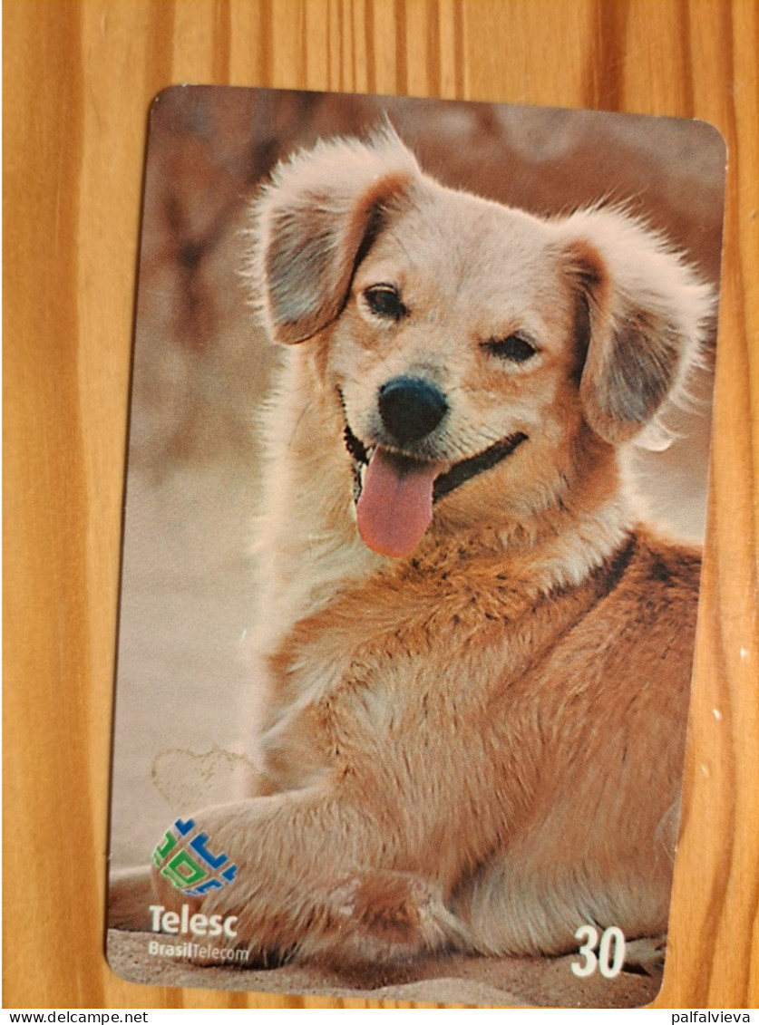 Phonecard Brazil, Telesc - Dog - Brasile