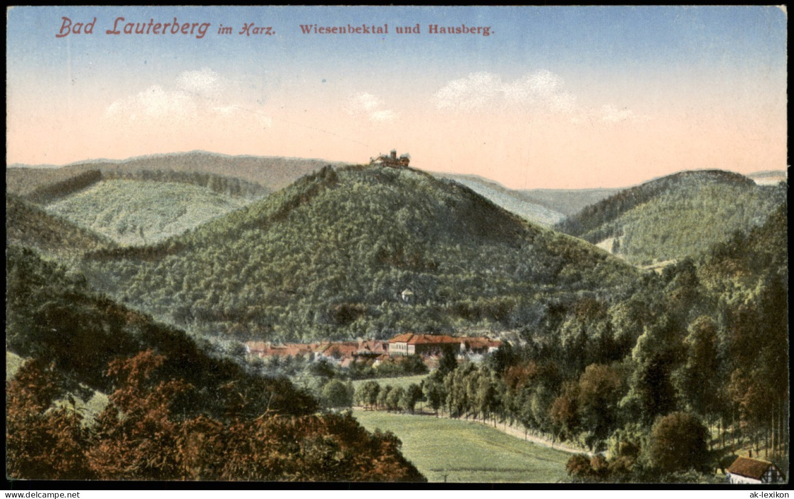 Ansichtskarte Bad Lauterberg Im Harz Wiesenbektal Und Hausberg. 1913 - Bad Lauterberg