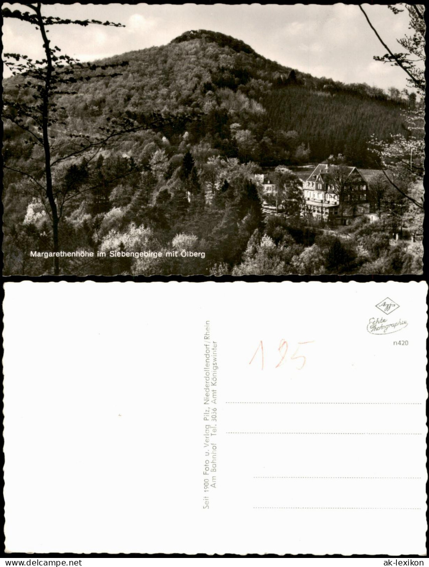 Ansichtskarte Königswinter Margarethenhöhe Im Siebengebirge Mit Ölberg 1961 - Koenigswinter