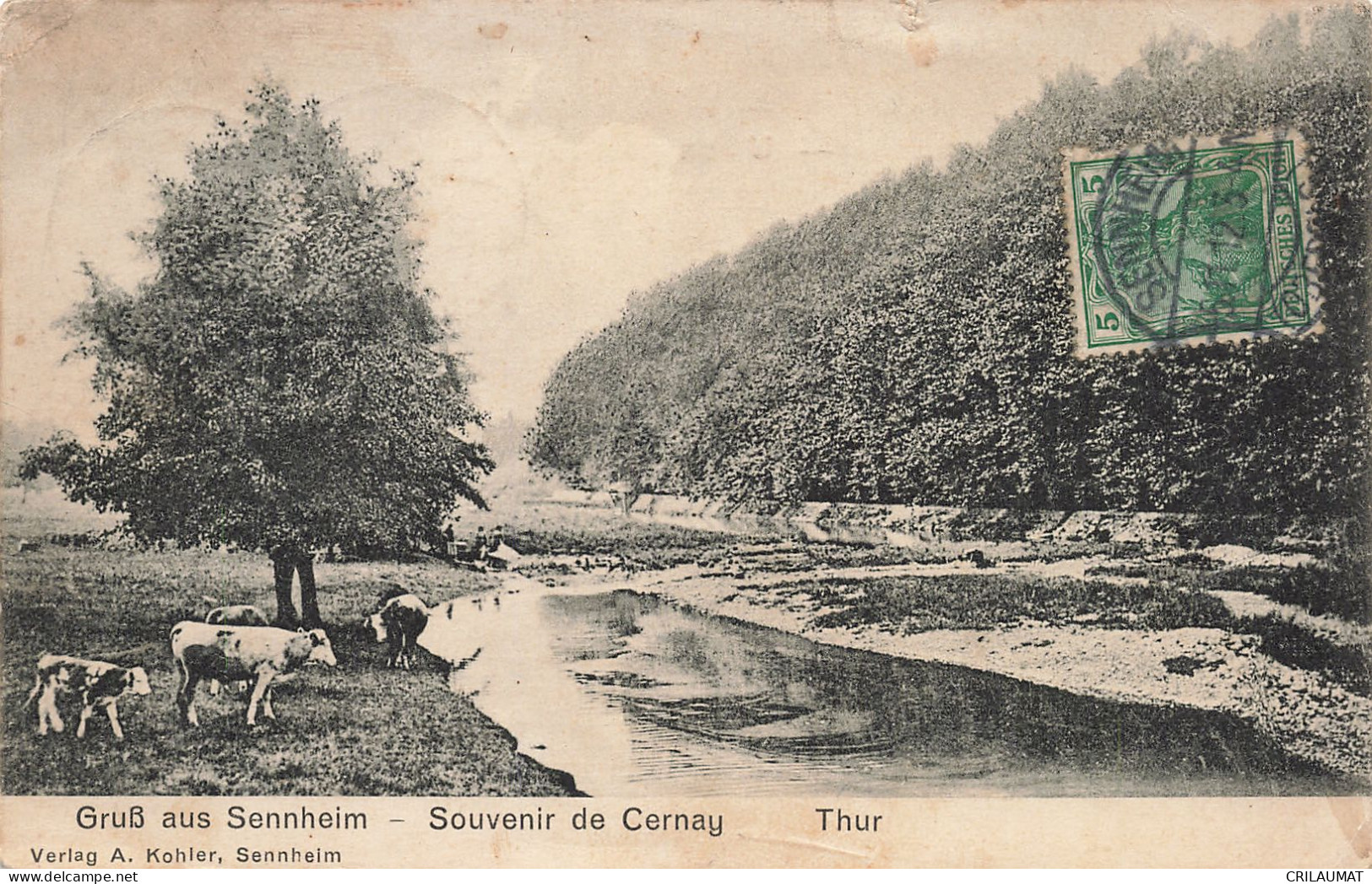 68-CERNAY-N°T5251-A/0369 - Cernay