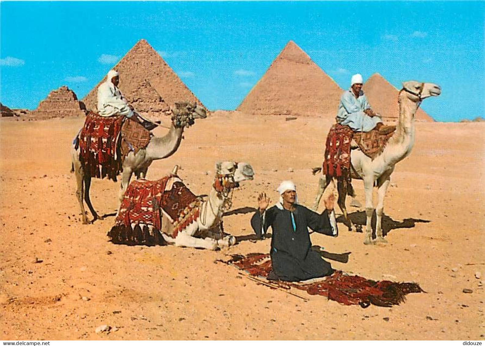 Egypte - Gizeh - Giza - Arab Camelriders In Front Of The Pyramids - Chamelier - Chameaux - Carte Neuve - CPM - Voir Scan - Guiza