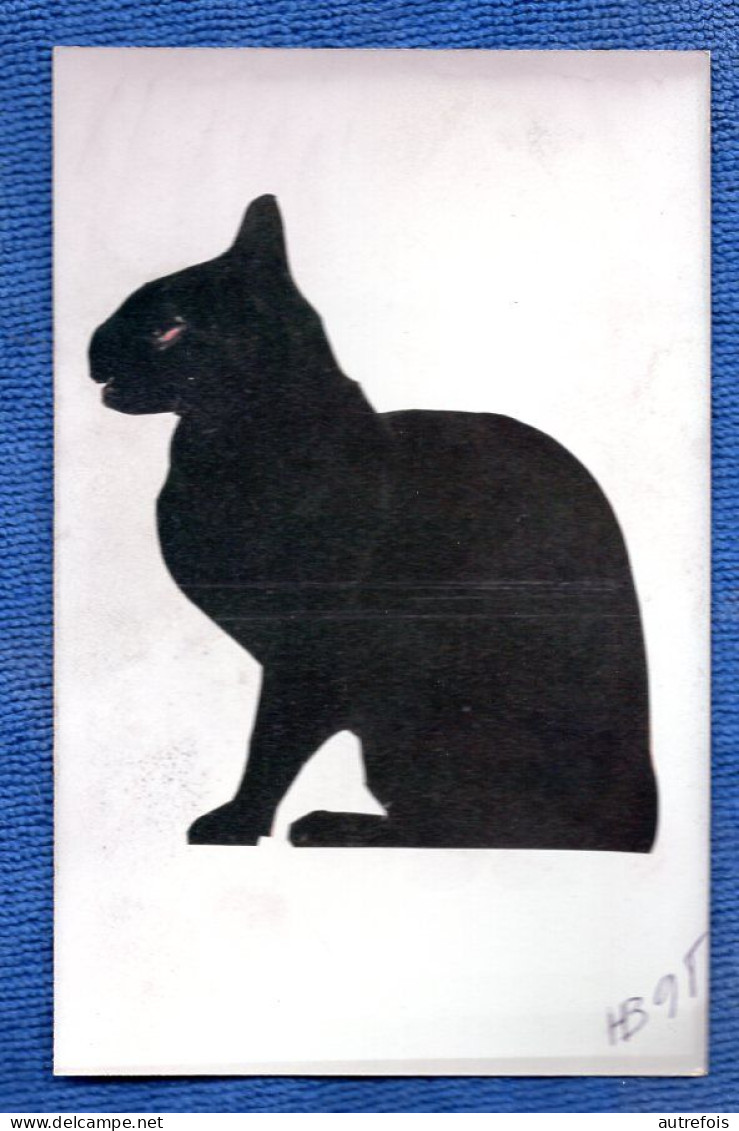 SILHOUETTE  CHAT  OMBRE    -  COLLAGE SIGNEE HB 1998 - Scherenschnitt - Silhouette