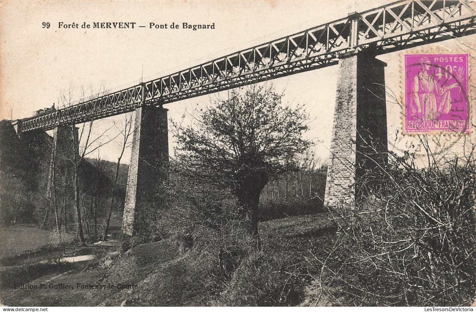 FRANCE - La Forêt De Mervent - Vue Panoramique - Le Pont De Bagnard - Sous Le Pont - Carte Postale Ancienne - Fontenay Le Comte