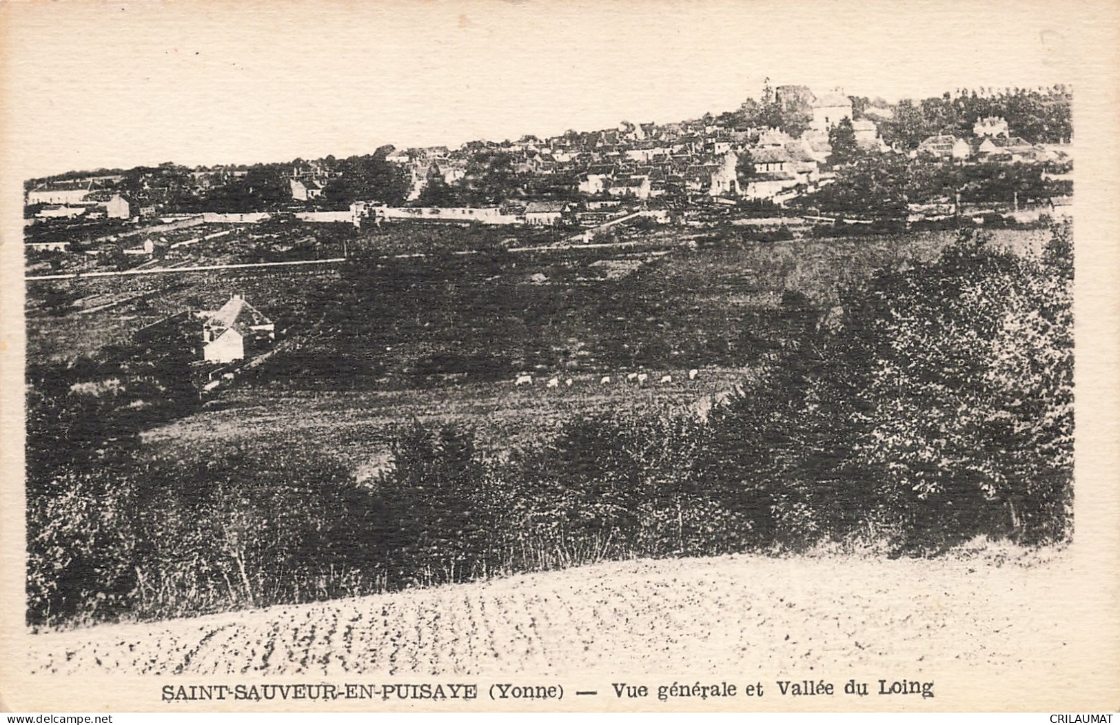 89-SAINT SAUVEUR EN PUISAYE-N°T5257-A/0393 - Saint Sauveur En Puisaye