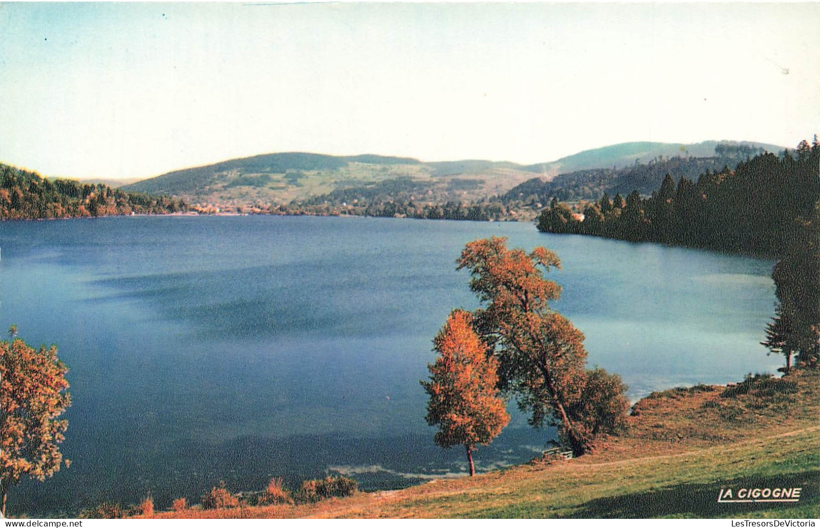 FRANCE - Gérardmer - Vue Sur Le Lac - Les Vosges Pittoresques - Colorisé - Carte Postale - Gerardmer