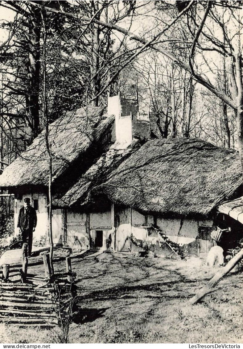 BELGIQUE - Genk - Openluchtmuseum Bokrijk Prentkaarten - Kelderhut Naar En Verdwenen... - Carte Postale - Genk