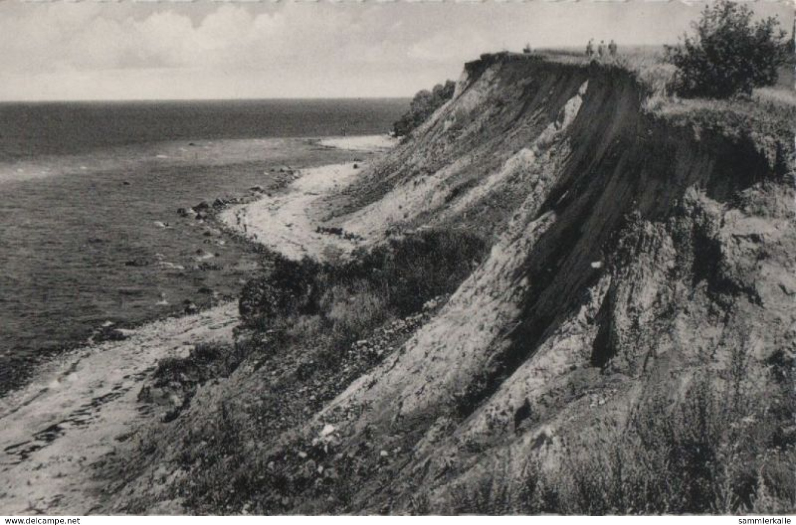 71358 - Timmendorfer Strand-Niendorf - Steilufer - 1961 - Timmendorfer Strand