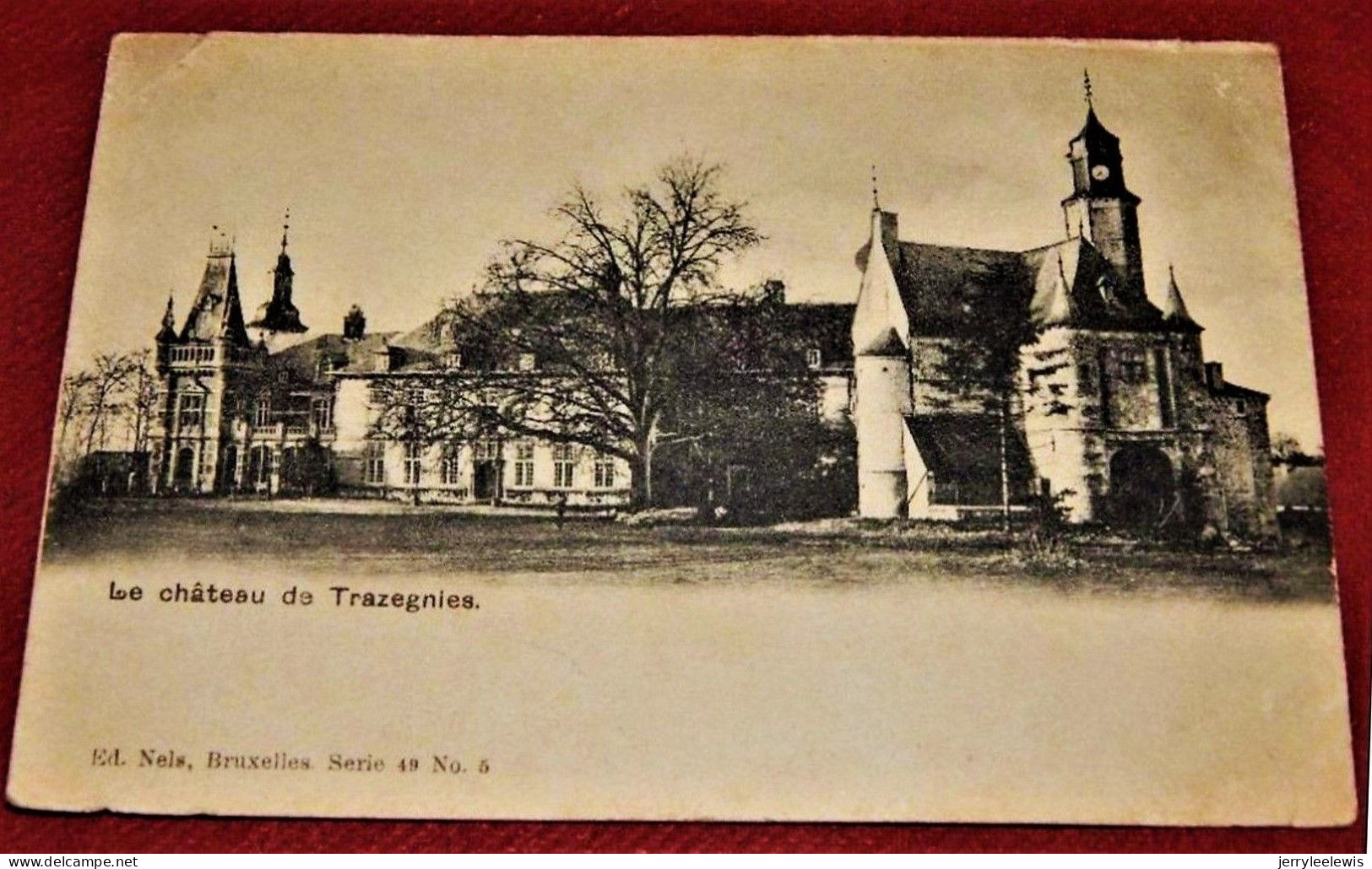 TRAZEGNIES  - Le Château De Trazegnies - Courcelles