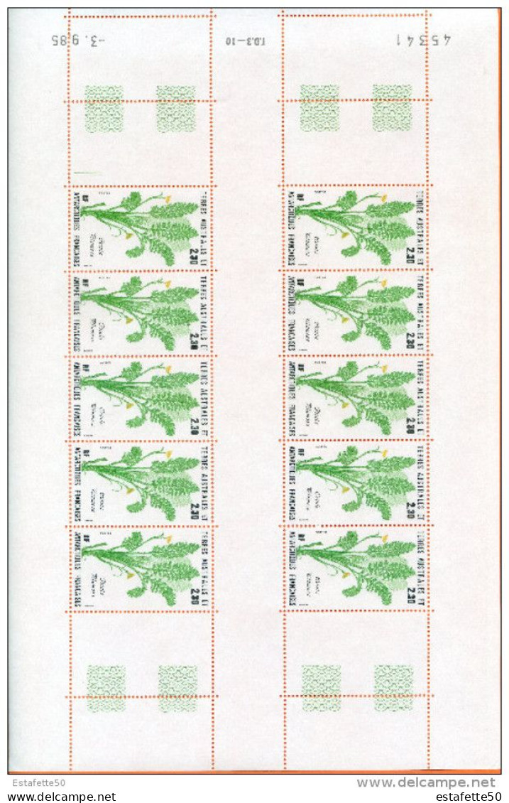 TAAF ;1985 ; TP N°118;feuillet Complet ; NEUF** " Flore Antarctique ; Cotula Plumosa " - Unused Stamps