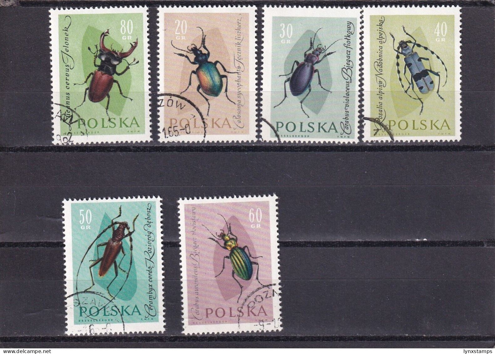 SA02 Poland 1961 Insects Used Stamps - Oblitérés
