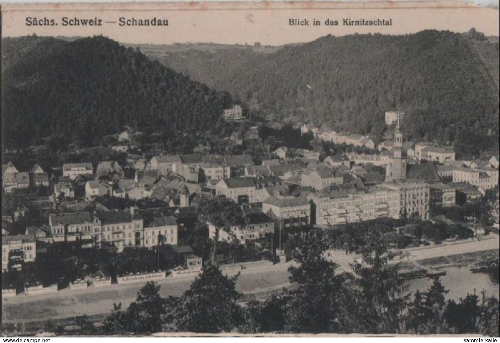 62204 - Bad Schandau - Blick In Das Kirnitzschtal - 1916 - Bad Schandau