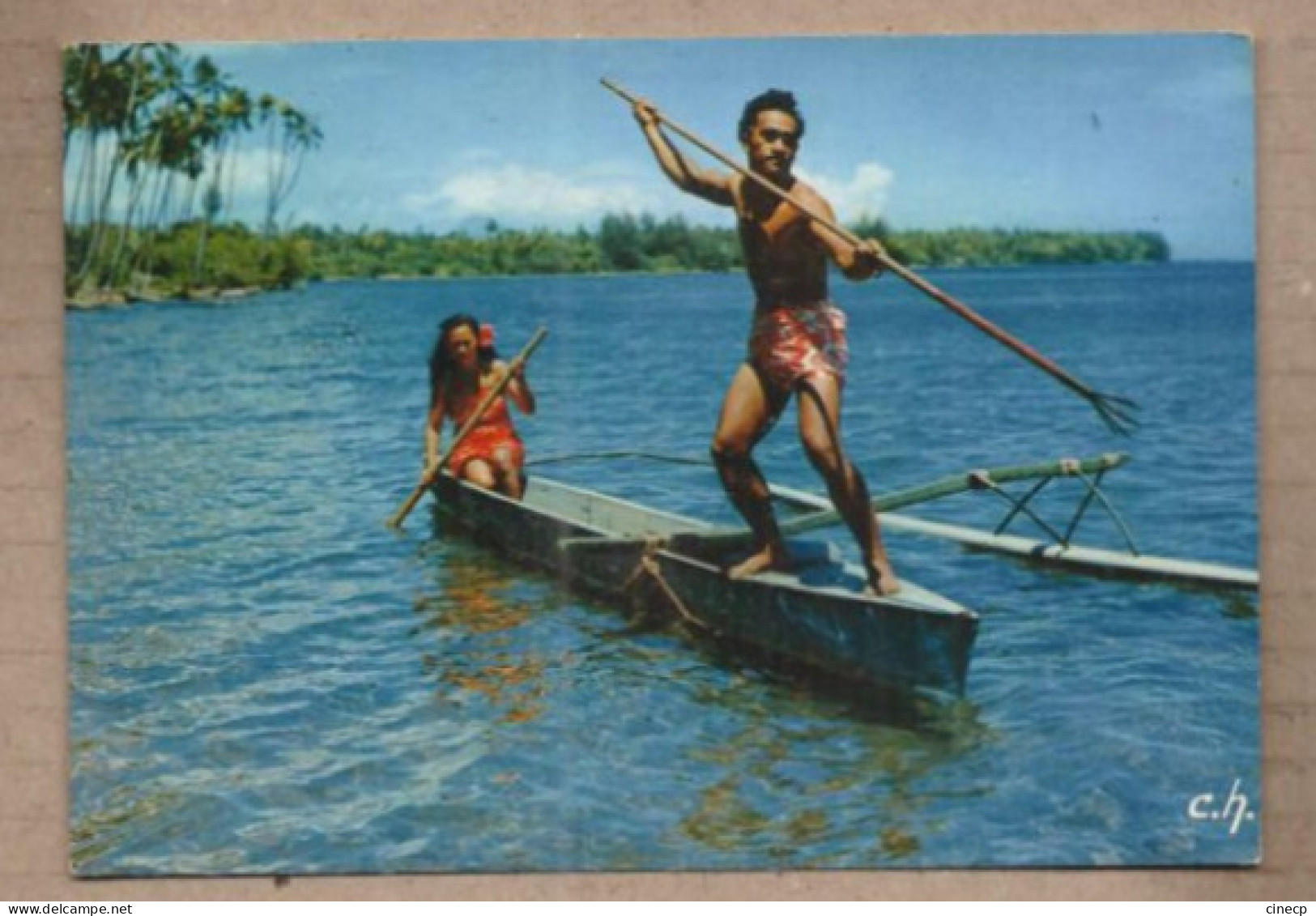 CPSM POLYNESIE FRANCAISE - TAHITI - Pêche Au Harpon - TB PLAN Pêcheur Sur Pirogue TAMPON ILES TUAMOTU Verso - Polynésie Française