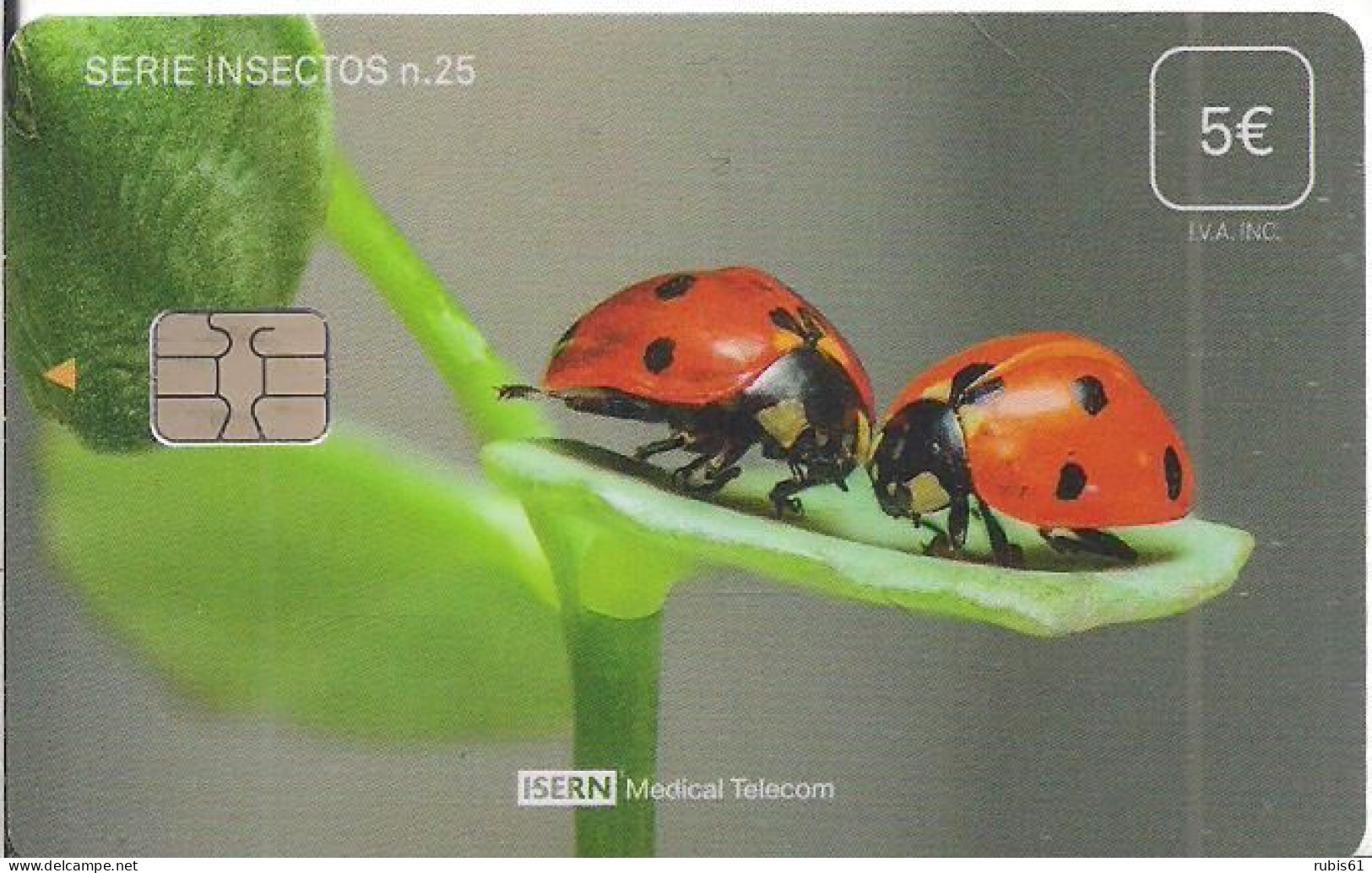 TARJETA ISERN INSECTOS 26 - Other & Unclassified
