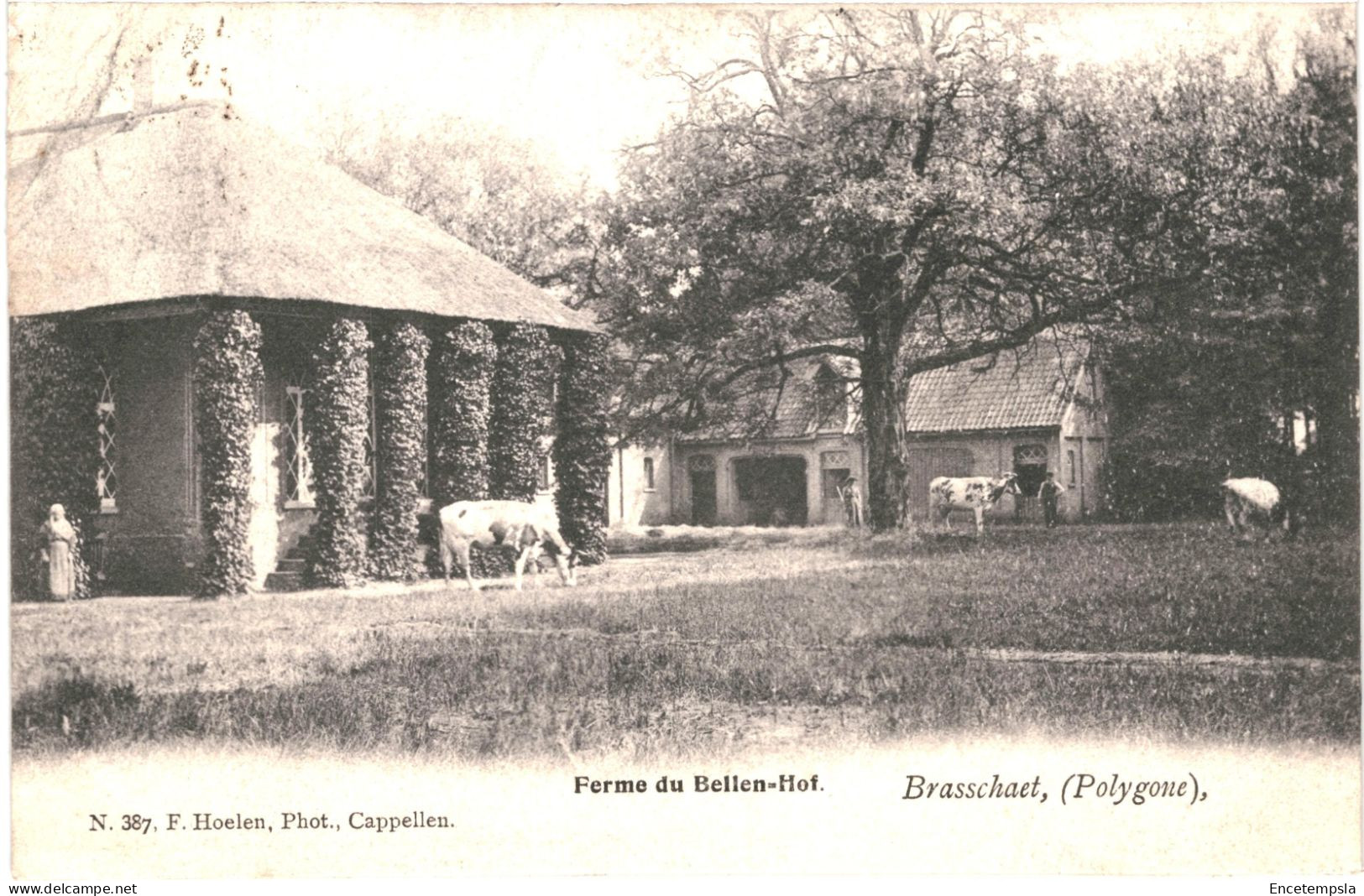 CPA Carte Postale Belgique Brasschaet Polygone Ferme Du Bellen-Hof 1903 VM78847ok - Brasschaat