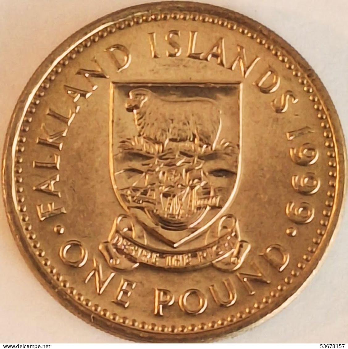 Falkland Islands - Pound 1999, KM# 24 (#3872) - Malvinas