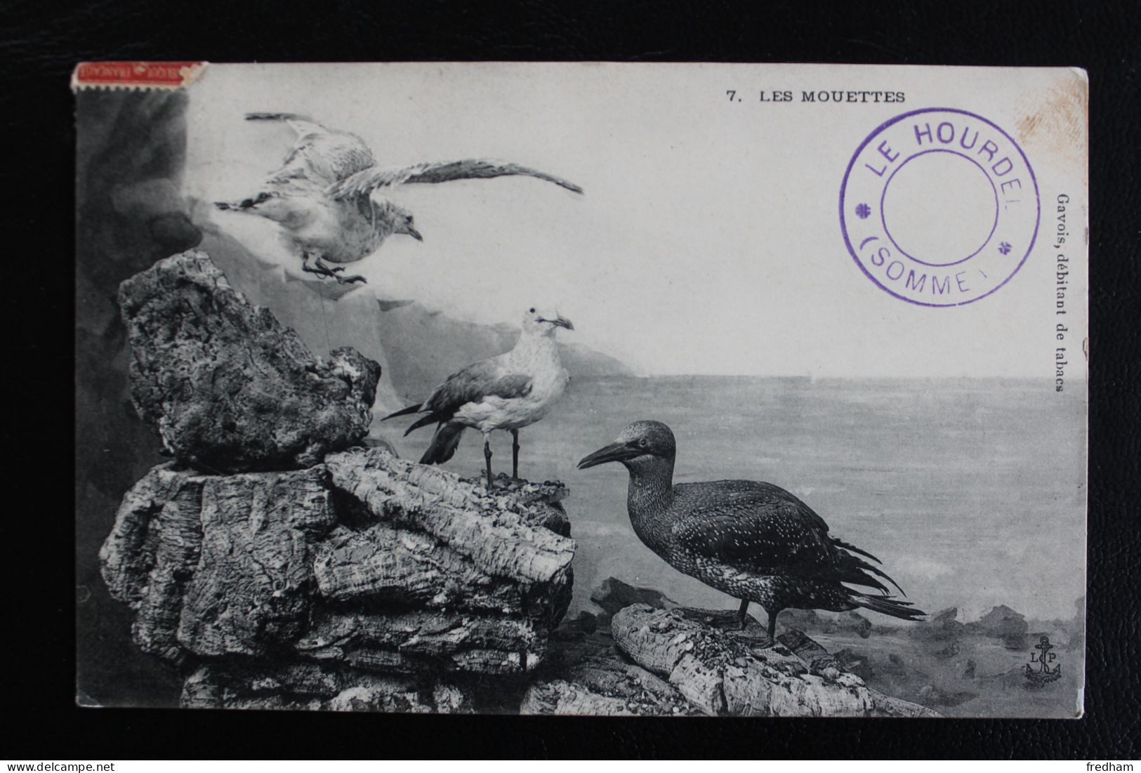 1907 CPA LE HOURDEL 7 LES MOUETTES CIRCULEE GAVOIS  DEBITANT DE TABACS - Le Hourdel