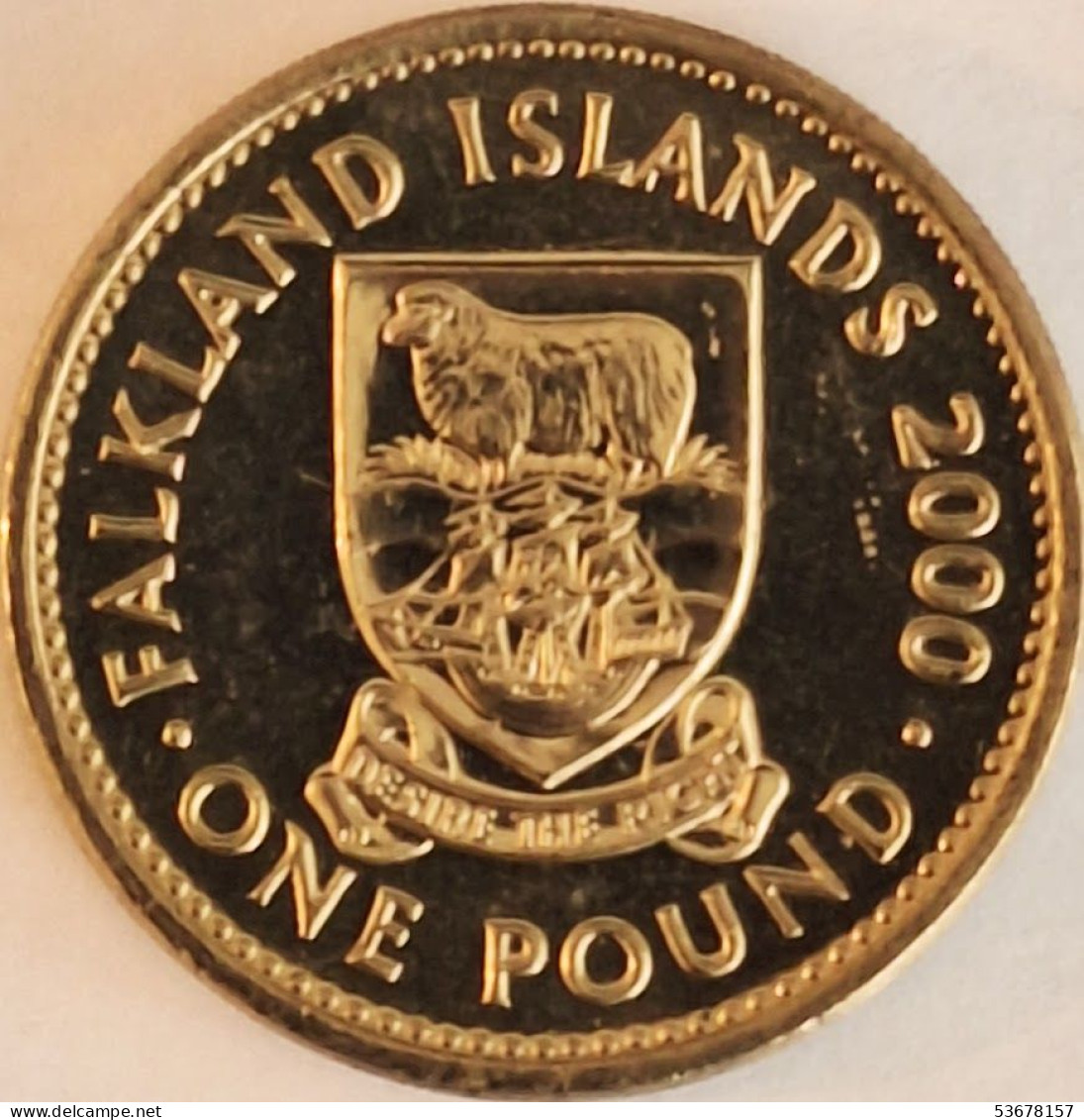 Falkland Islands - Pound 2000, KM# 24 (#3873) - Falklandeilanden